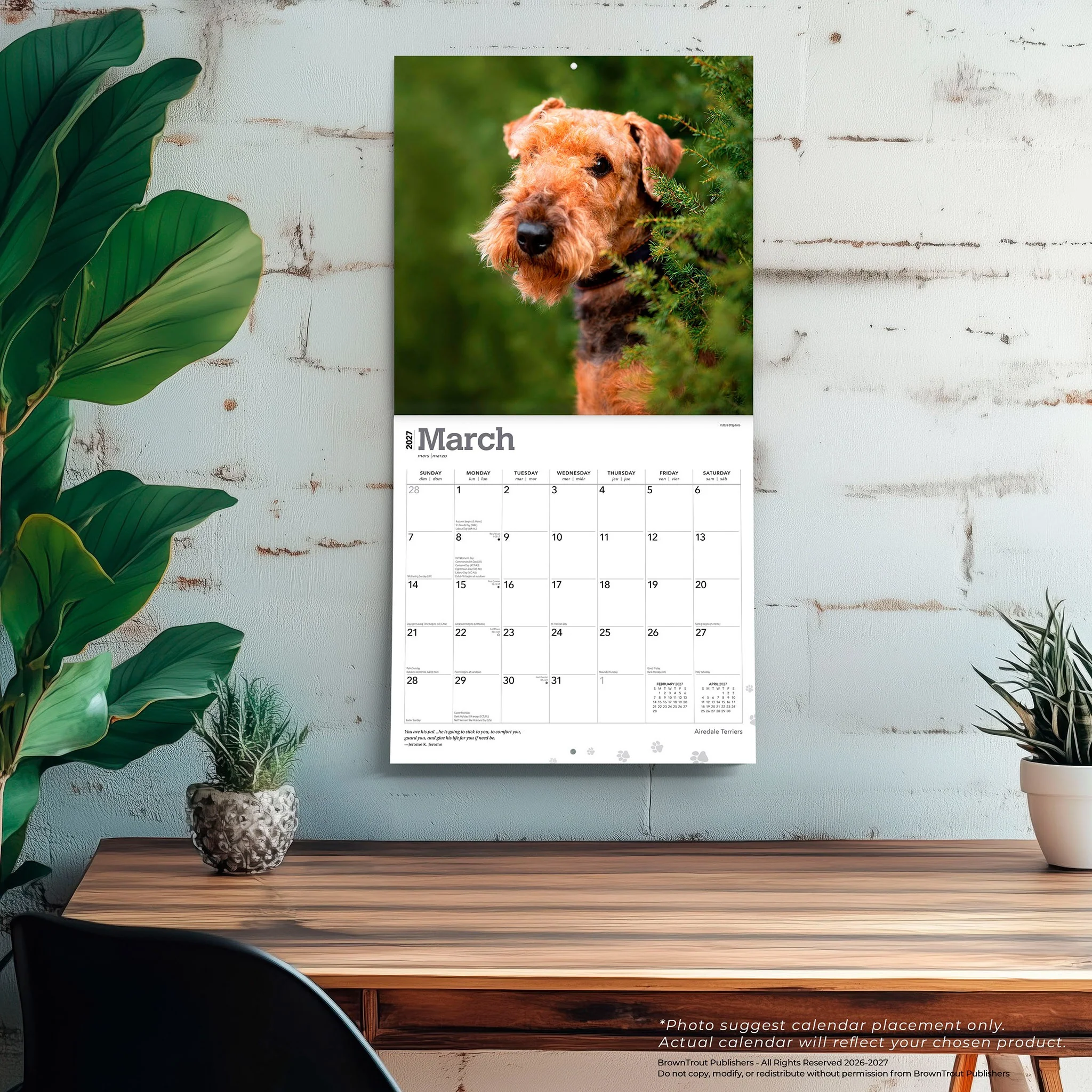 Airedale Terriers 2027 Wall Calendar - Image 5