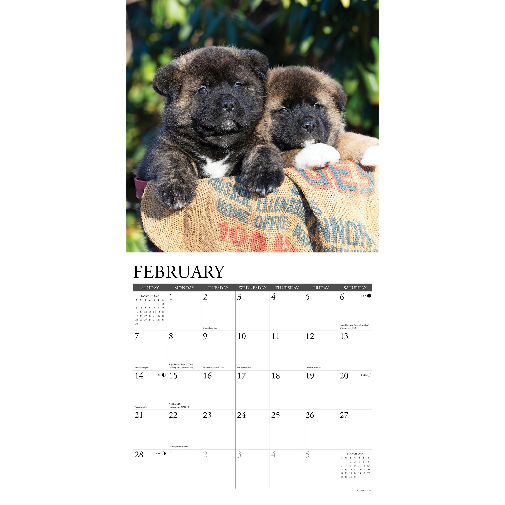 Akitas 2027 Wall Calendar - Online Only - Image 3