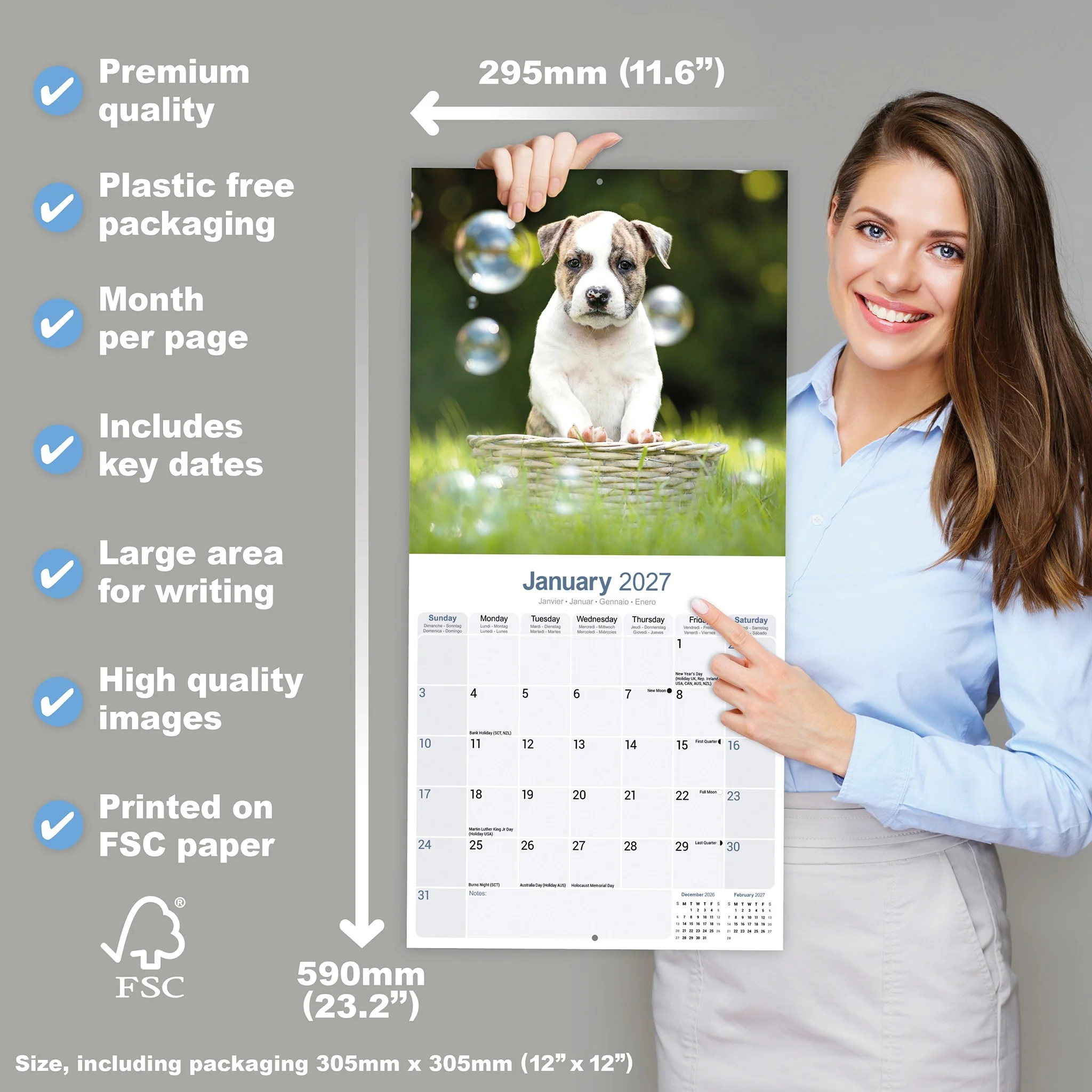 American Staffordshire Terrier 2027 Wall Calendar - Online Only - Image 6