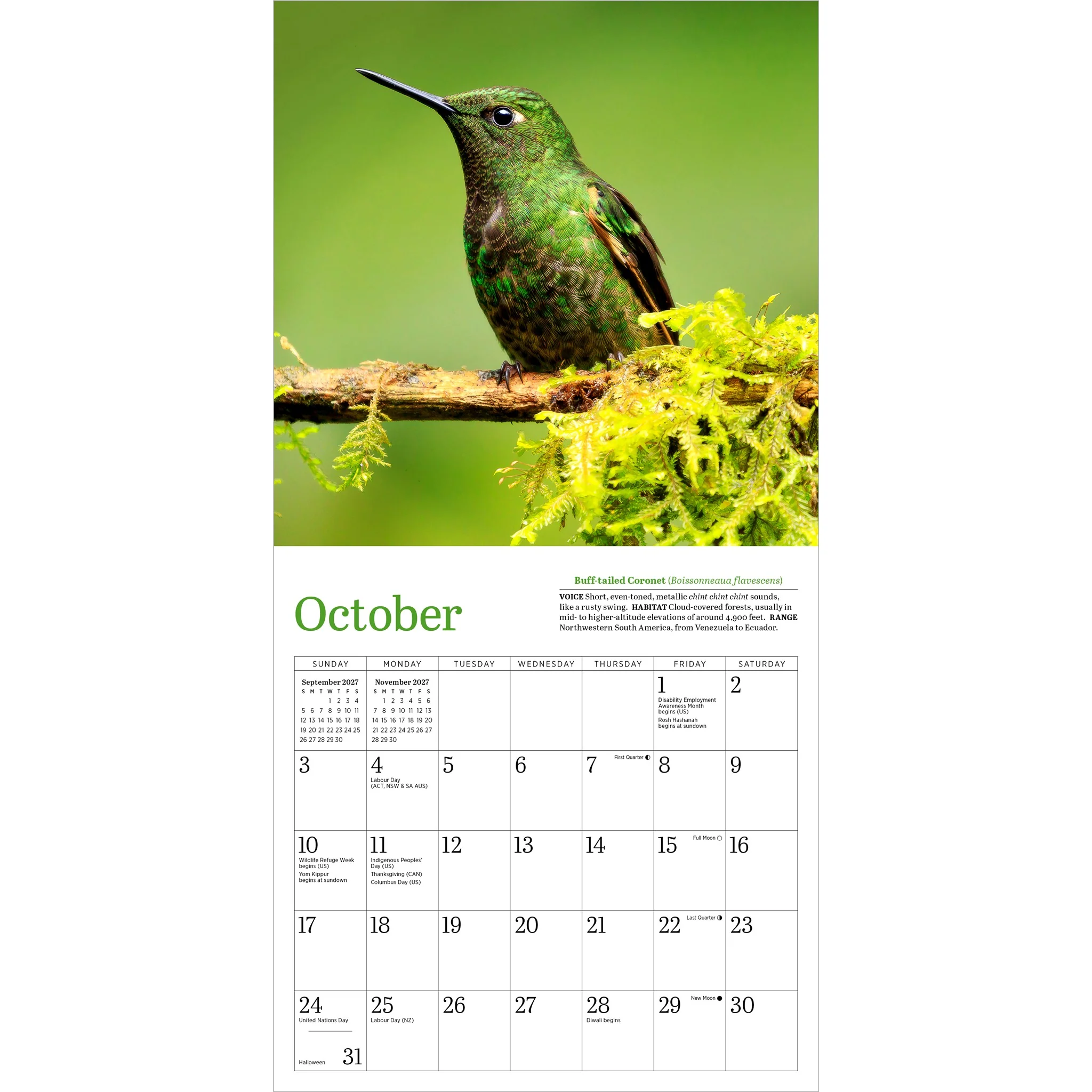 Audubon Hummingbirds 2027 Mini Calendar - Online Only - Image 5