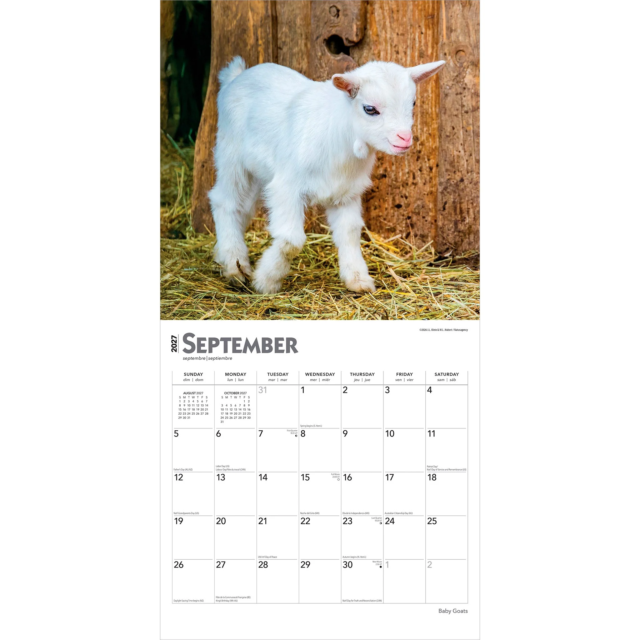 Baby Goats 2027 Wall Calendar - Image 4