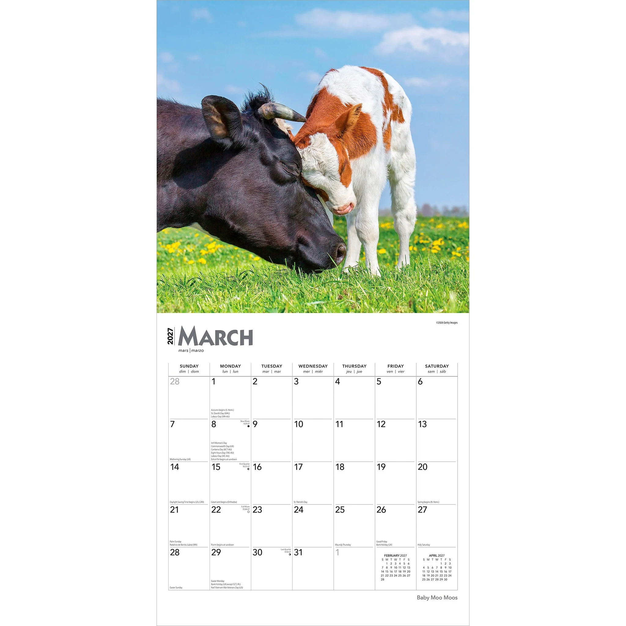 Baby Moo Moos 2027 Wall Calendar - Online Only - Image 3