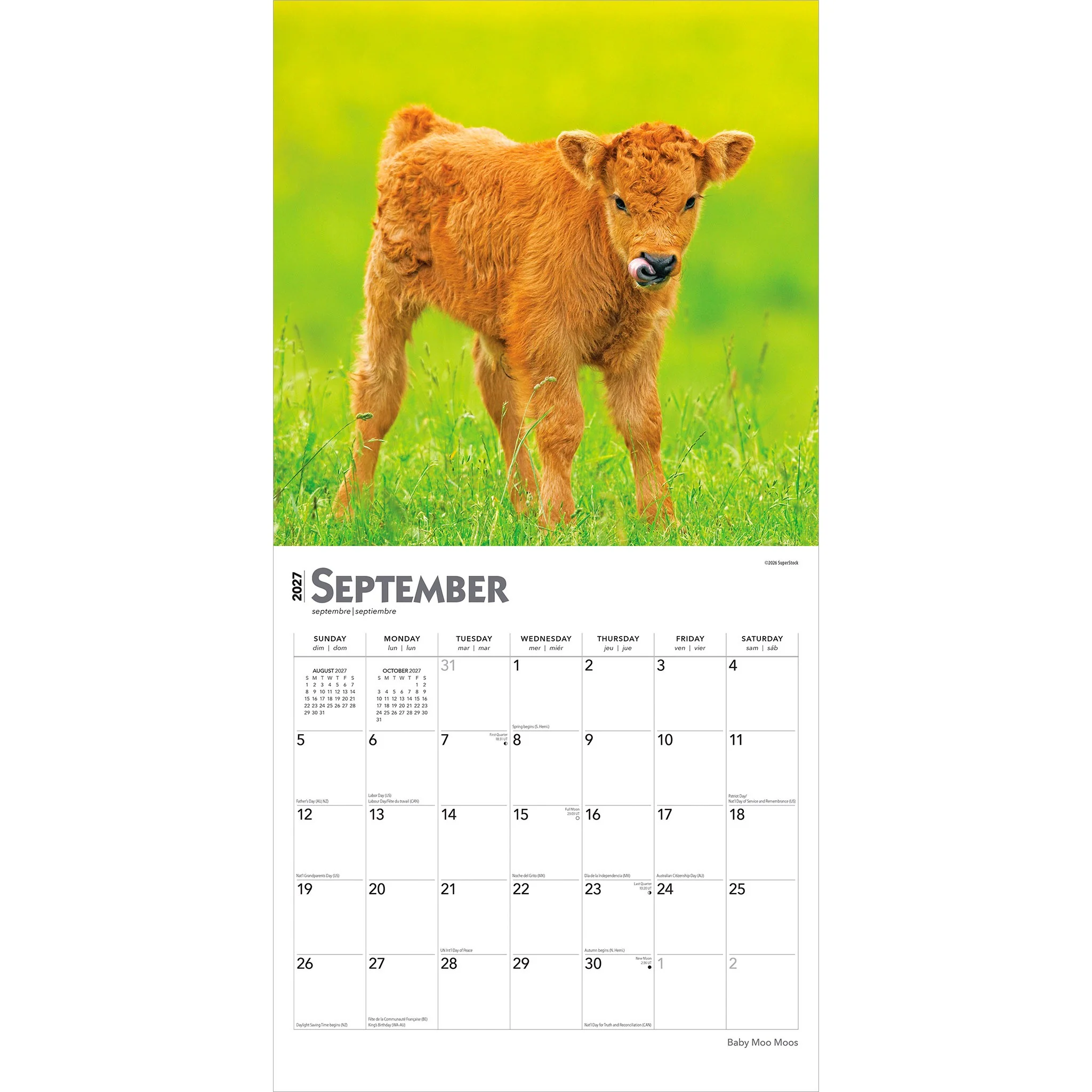 Baby Moo Moos 2027 Wall Calendar - Online Only - Image 4