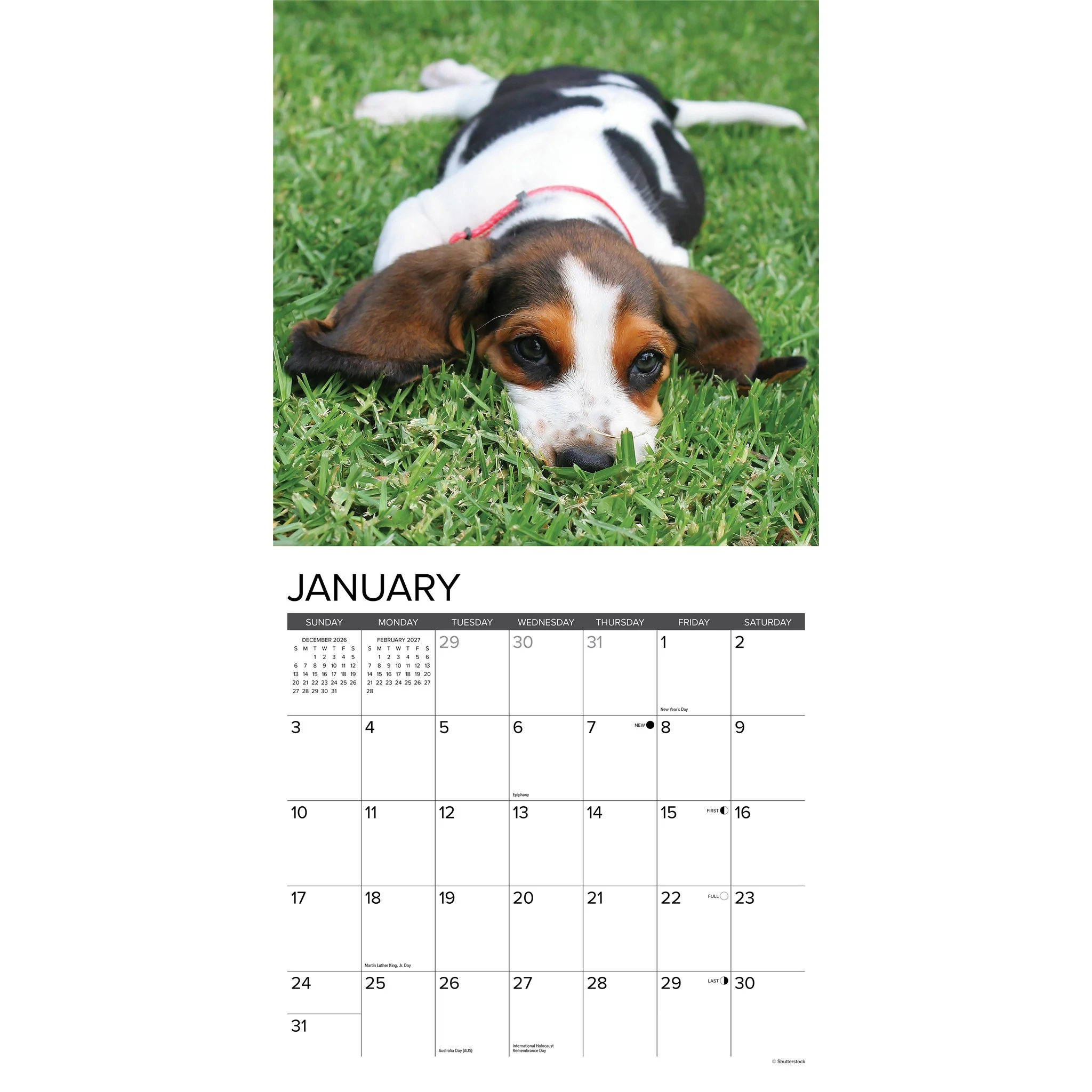Basset Hound Puppies 2027 Wall Calendar - Online Only - Image 3