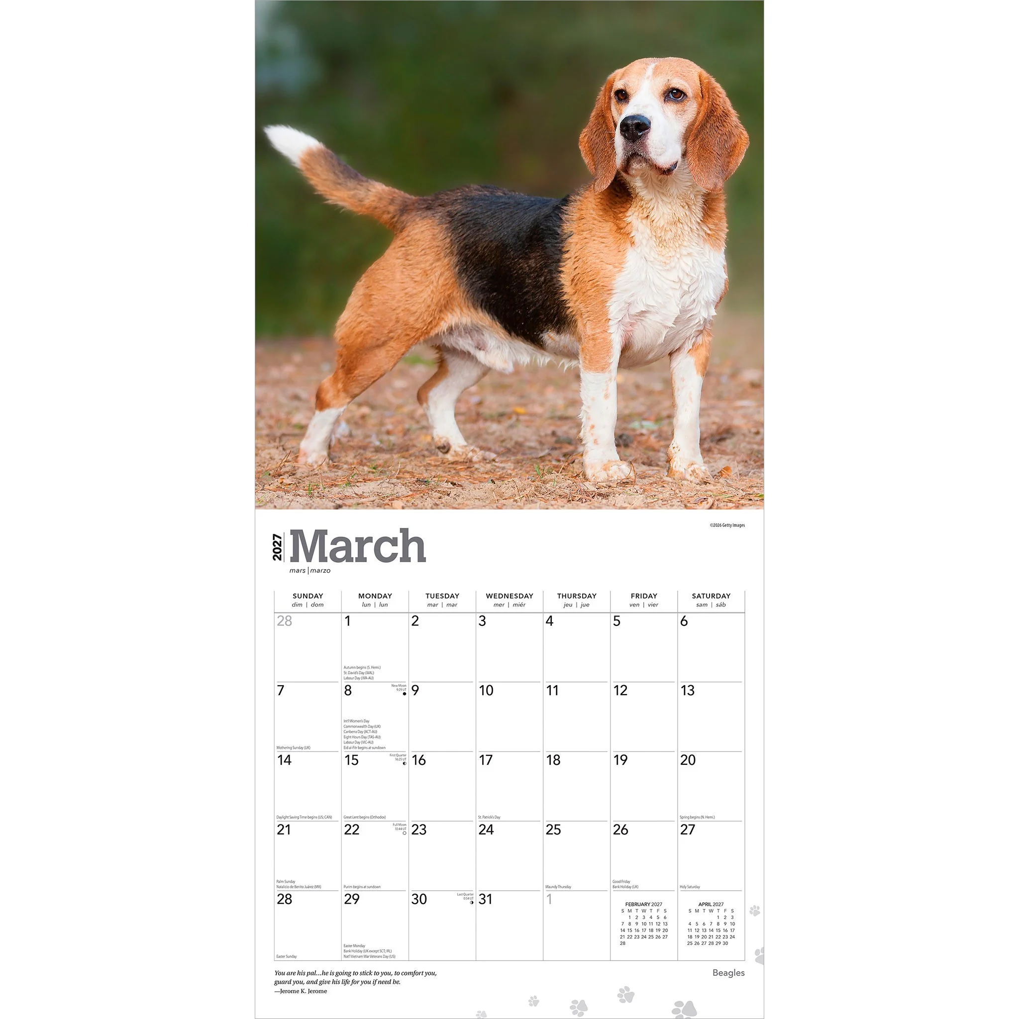 Beagles 2027 Wall Calendar - Image 3