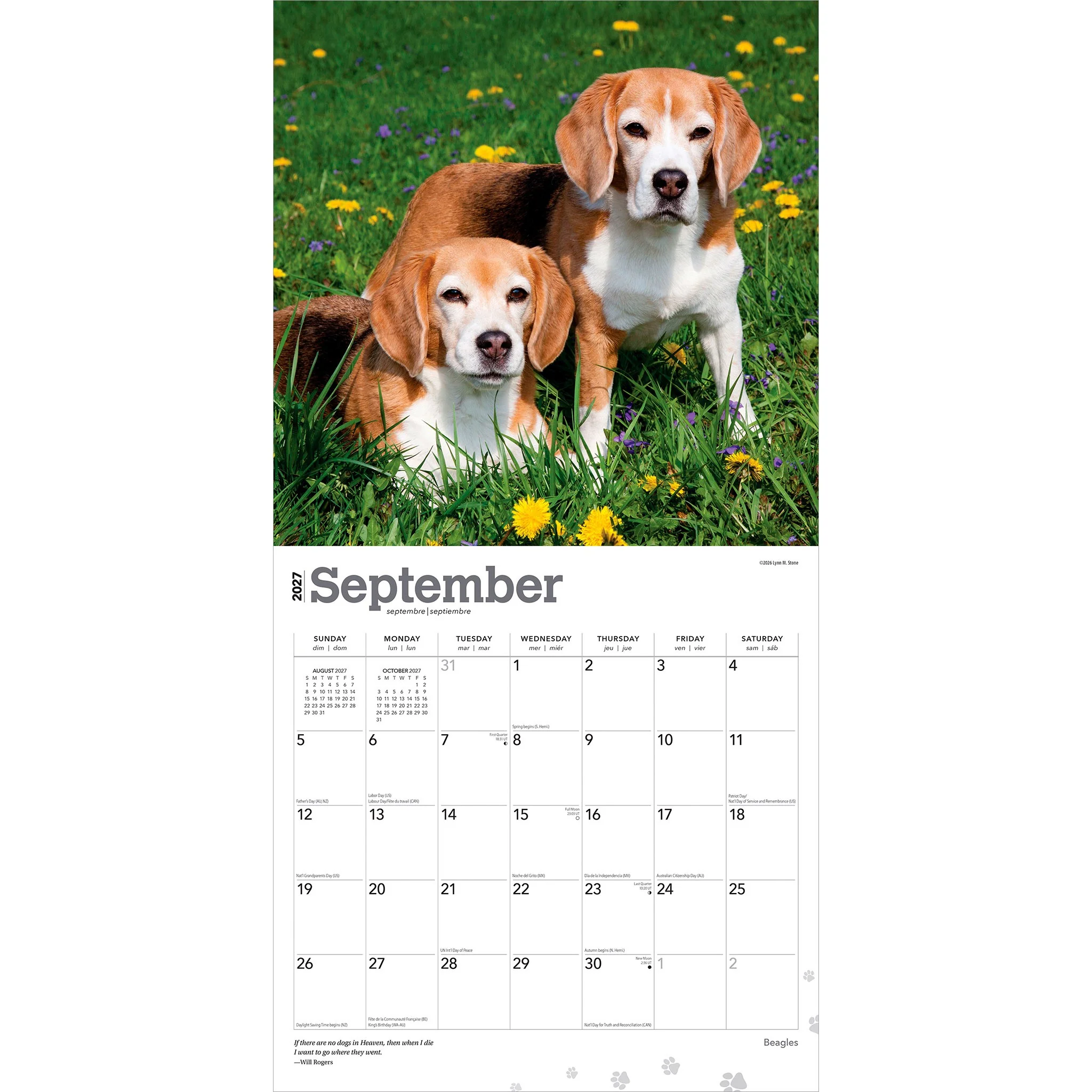 Beagles 2027 Wall Calendar - Image 4