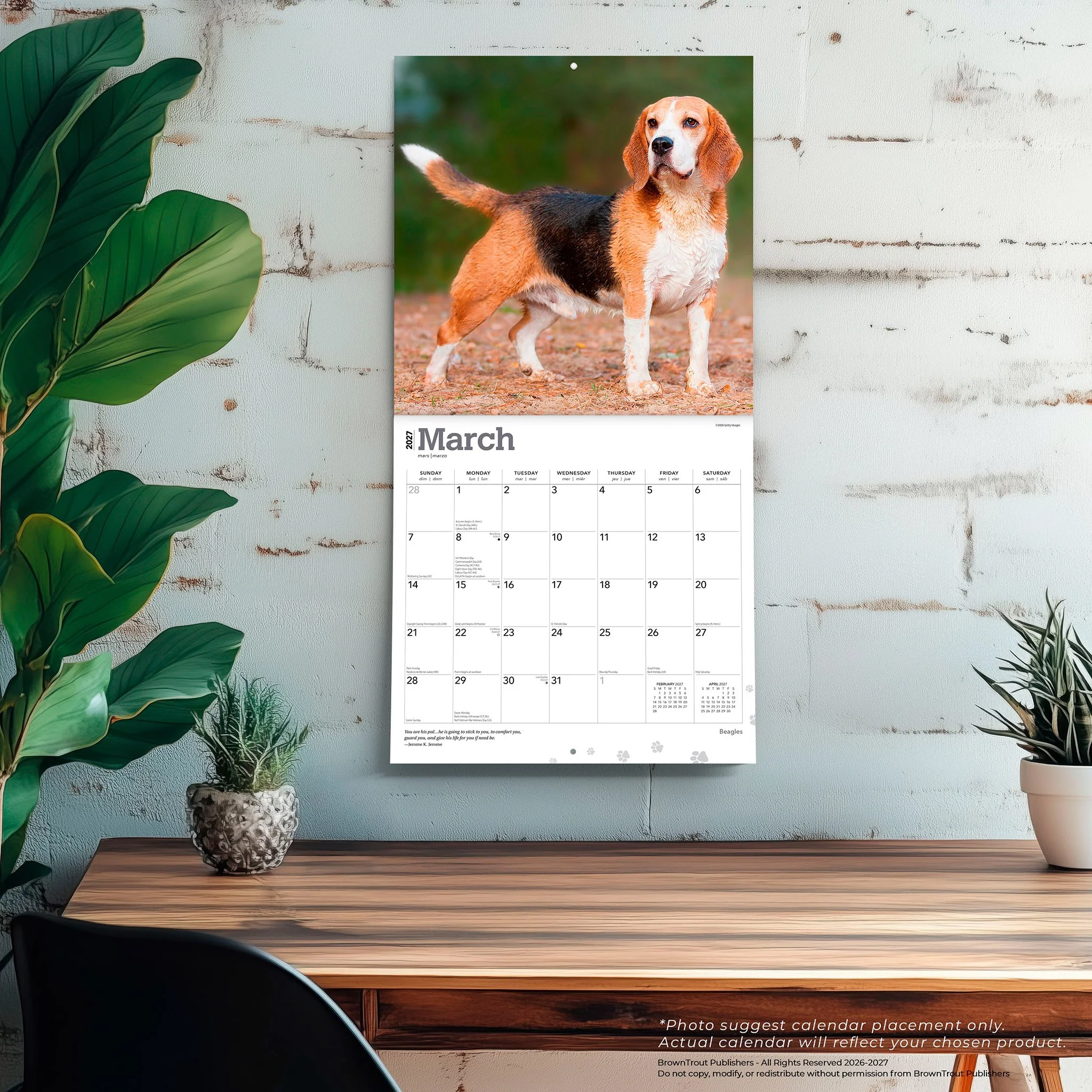 Beagles 2027 Wall Calendar - Image 5