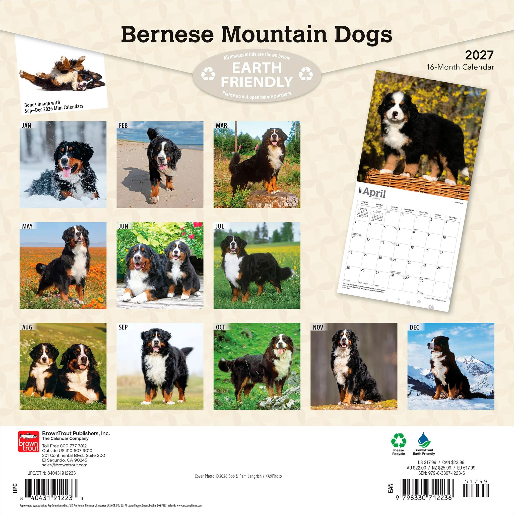 Bernese Mountain Dogs 2027 Wall Calendar - Image 2