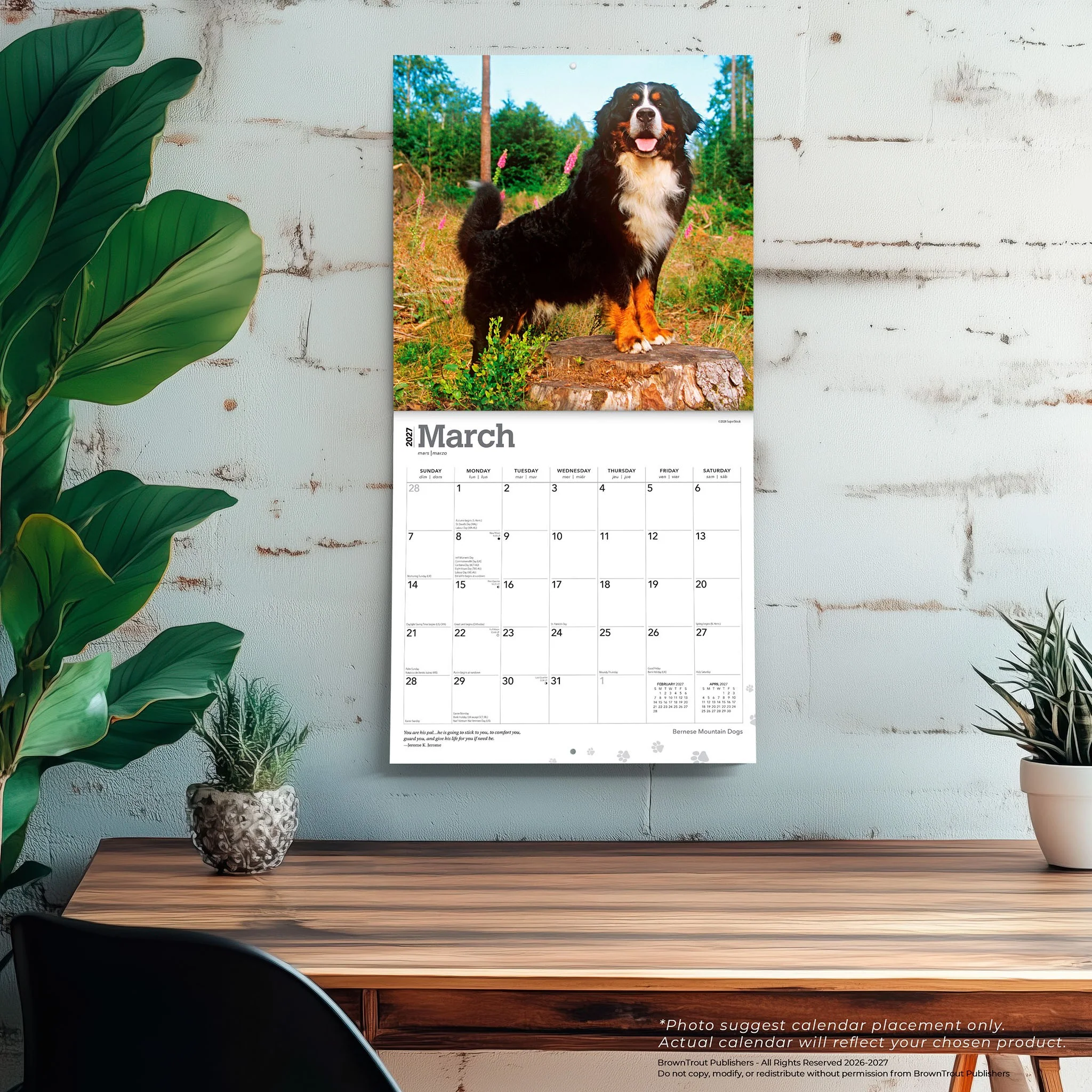 Bernese Mountain Dogs 2027 Wall Calendar - Image 5