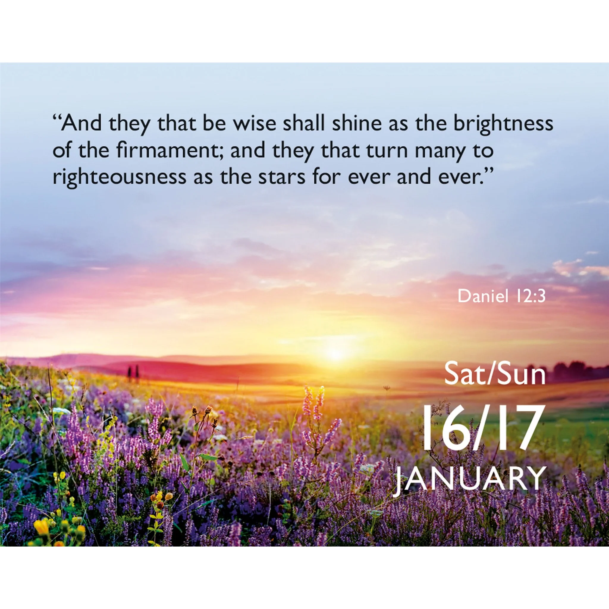 Bible Verse a Day 2027 Small Box Calendar - Image 3
