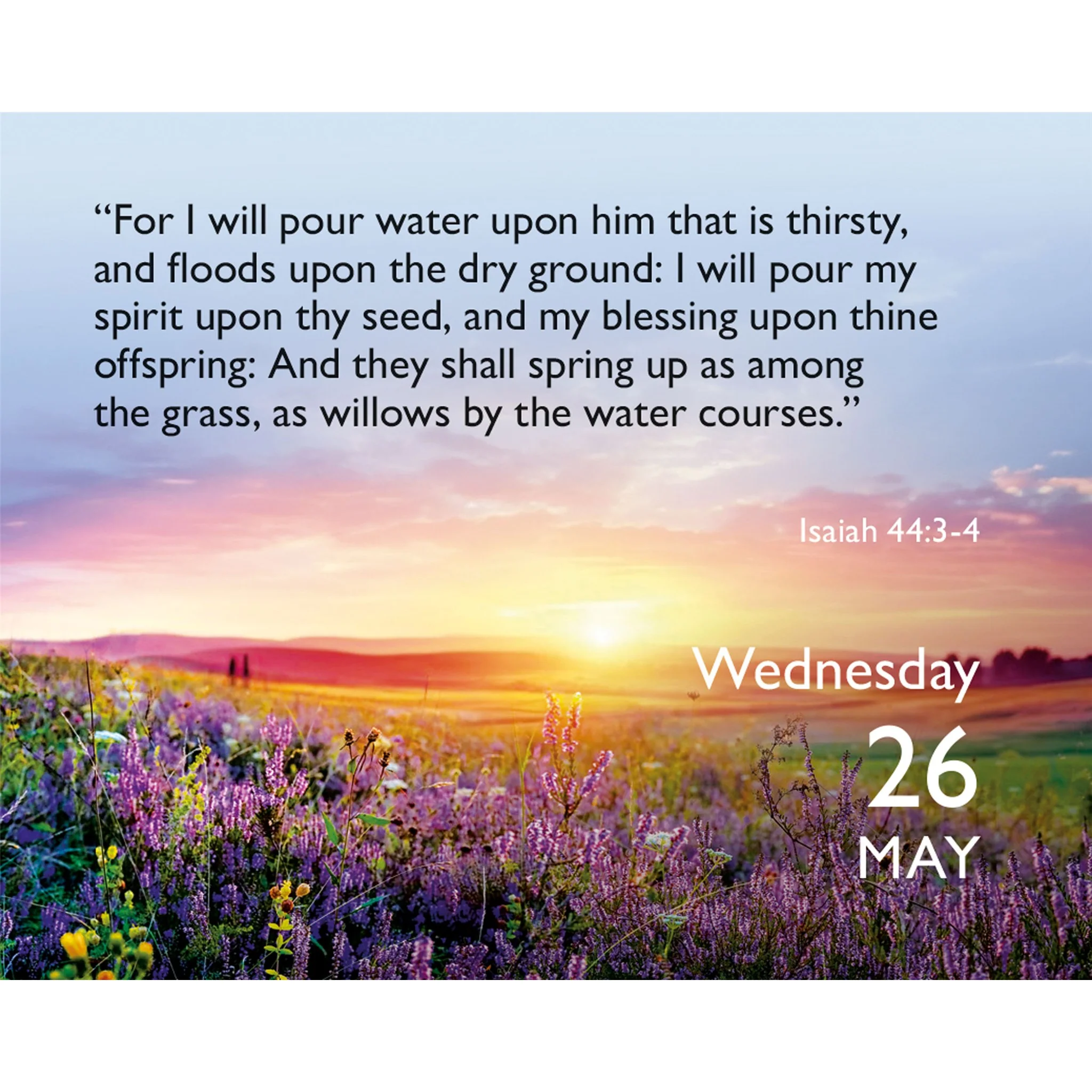 Bible Verse a Day 2027 Small Box Calendar - Image 4