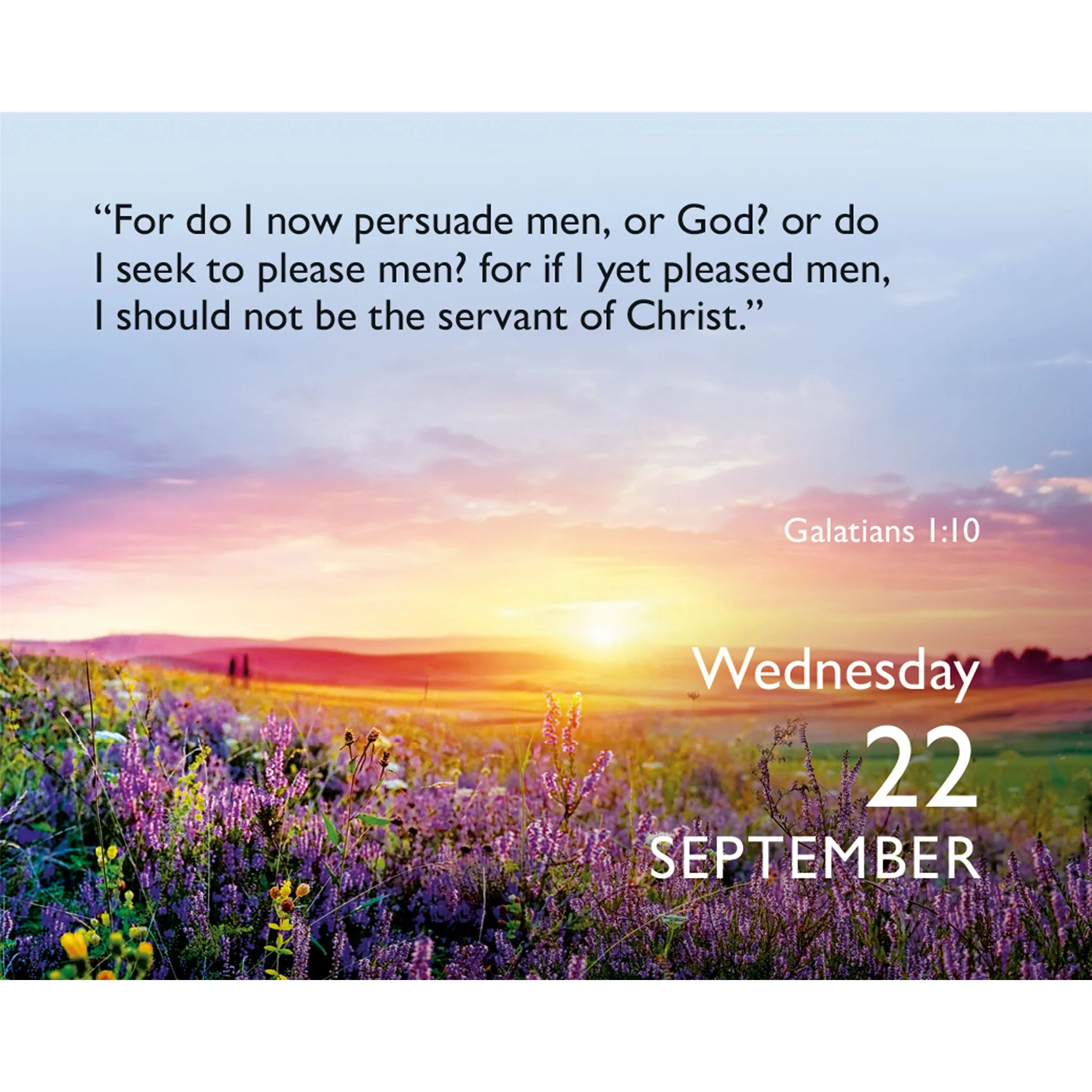 Bible Verse a Day 2027 Small Box Calendar - Image 5