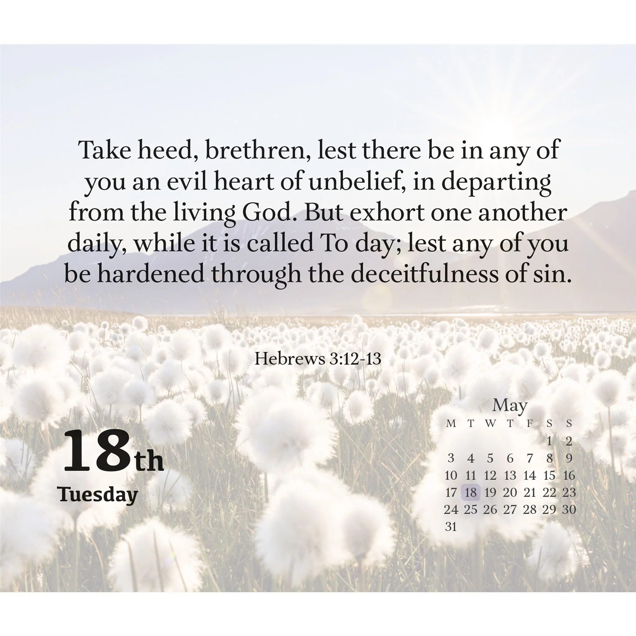 Bible Verses 2027 Box Calendar - Image 4