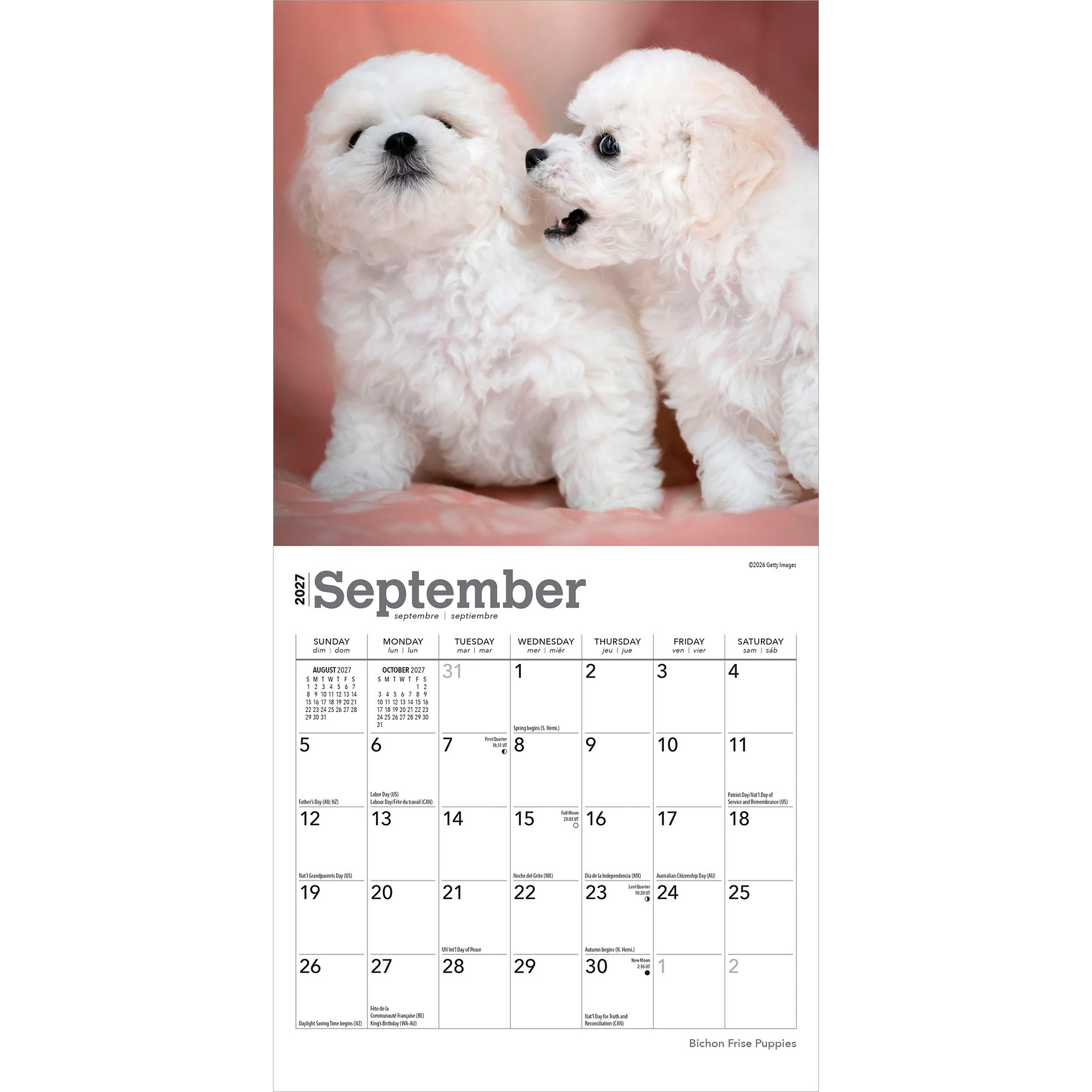 Bichon Frise Puppies 2027 Mini Calendar - Image 4