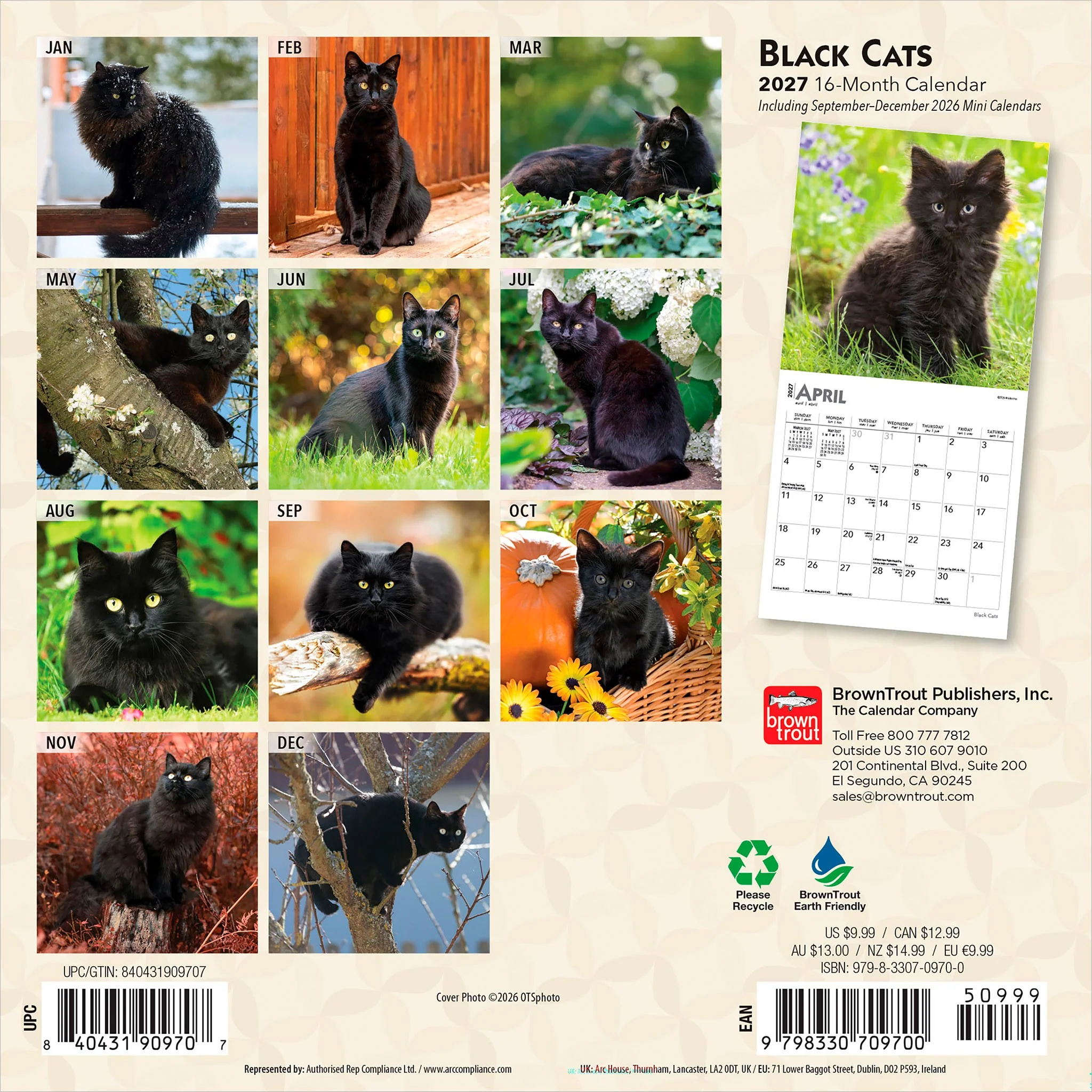 Black Cats 2027 Mini Calendar - Image 2
