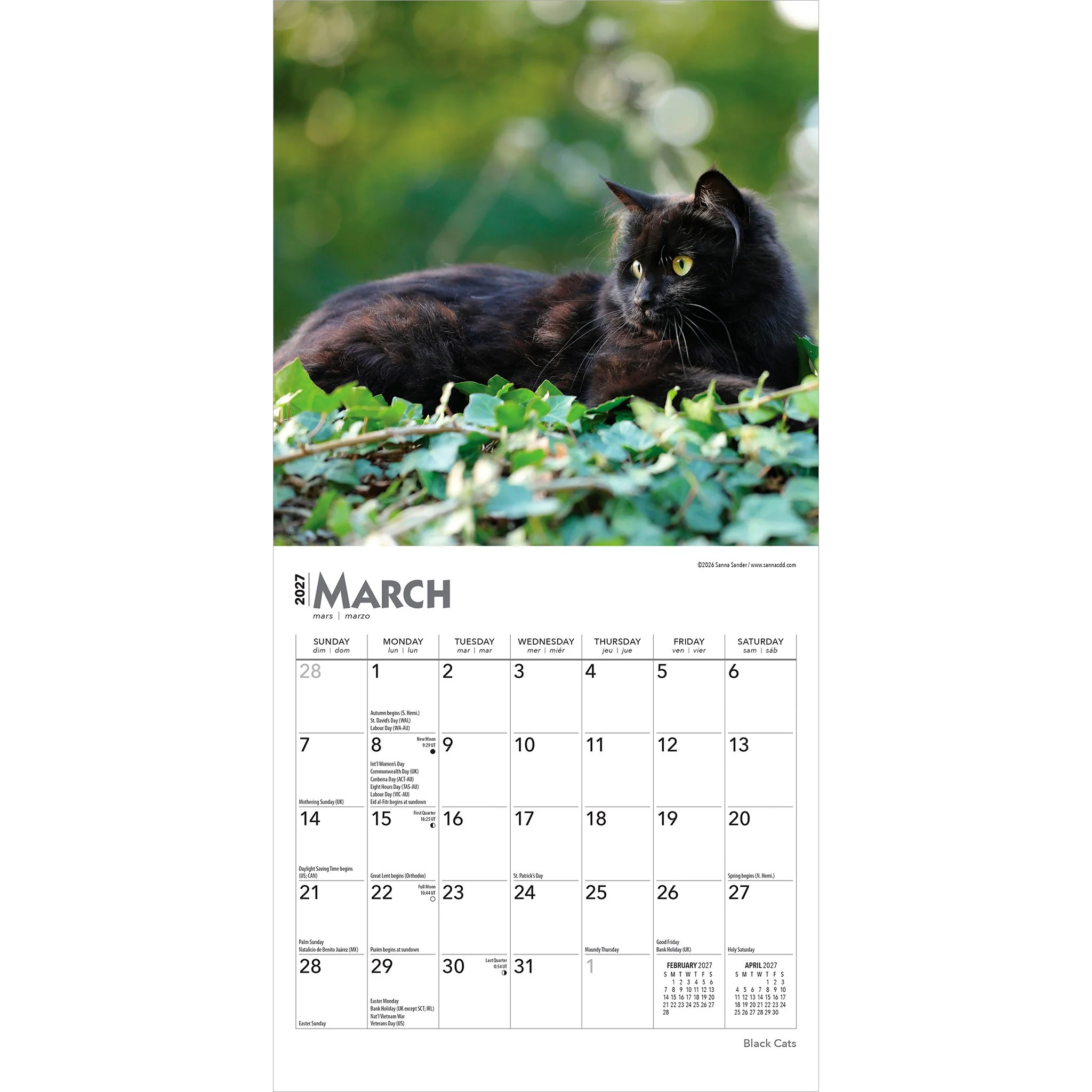 Black Cats 2027 Mini Calendar - Image 3