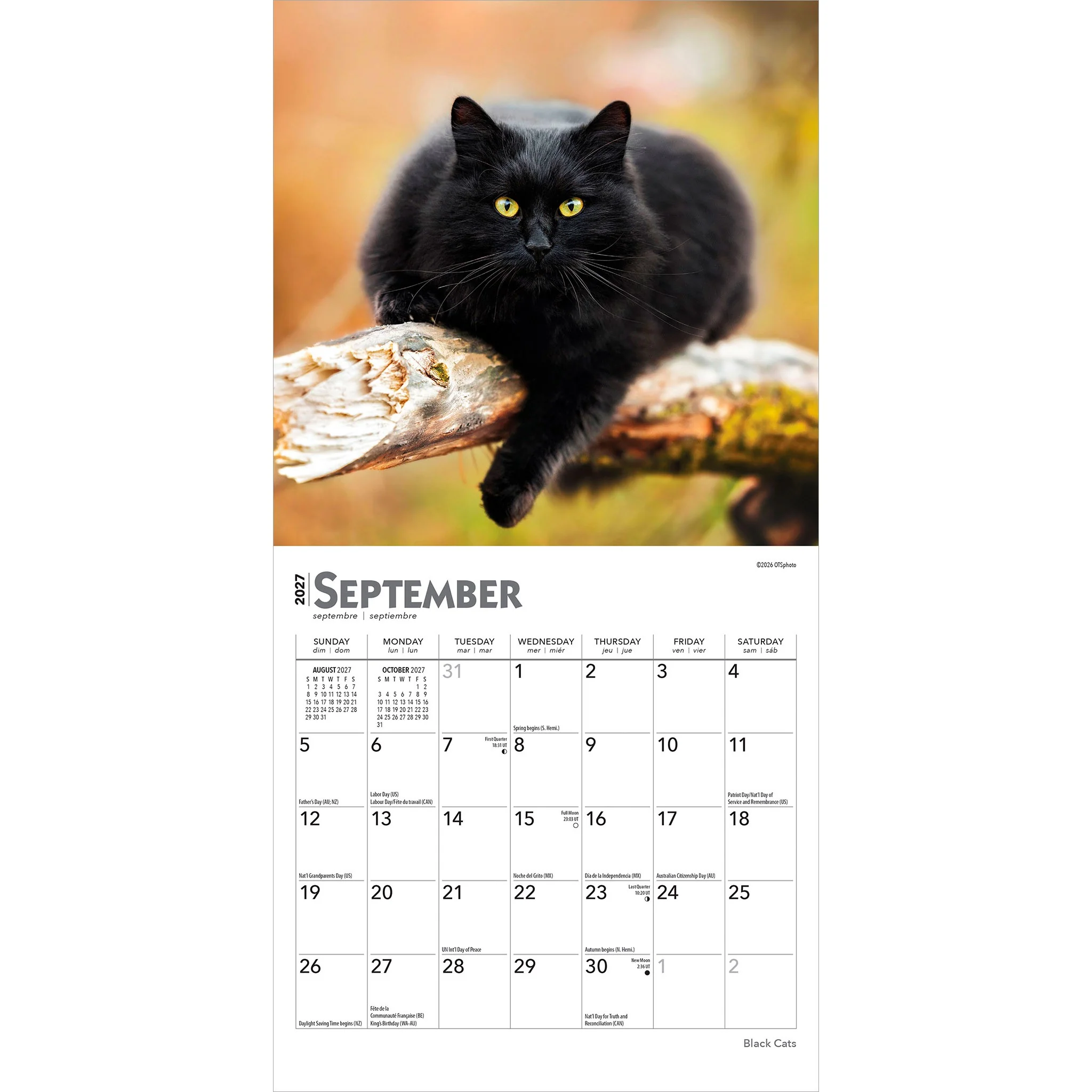Black Cats 2027 Mini Calendar - Image 4