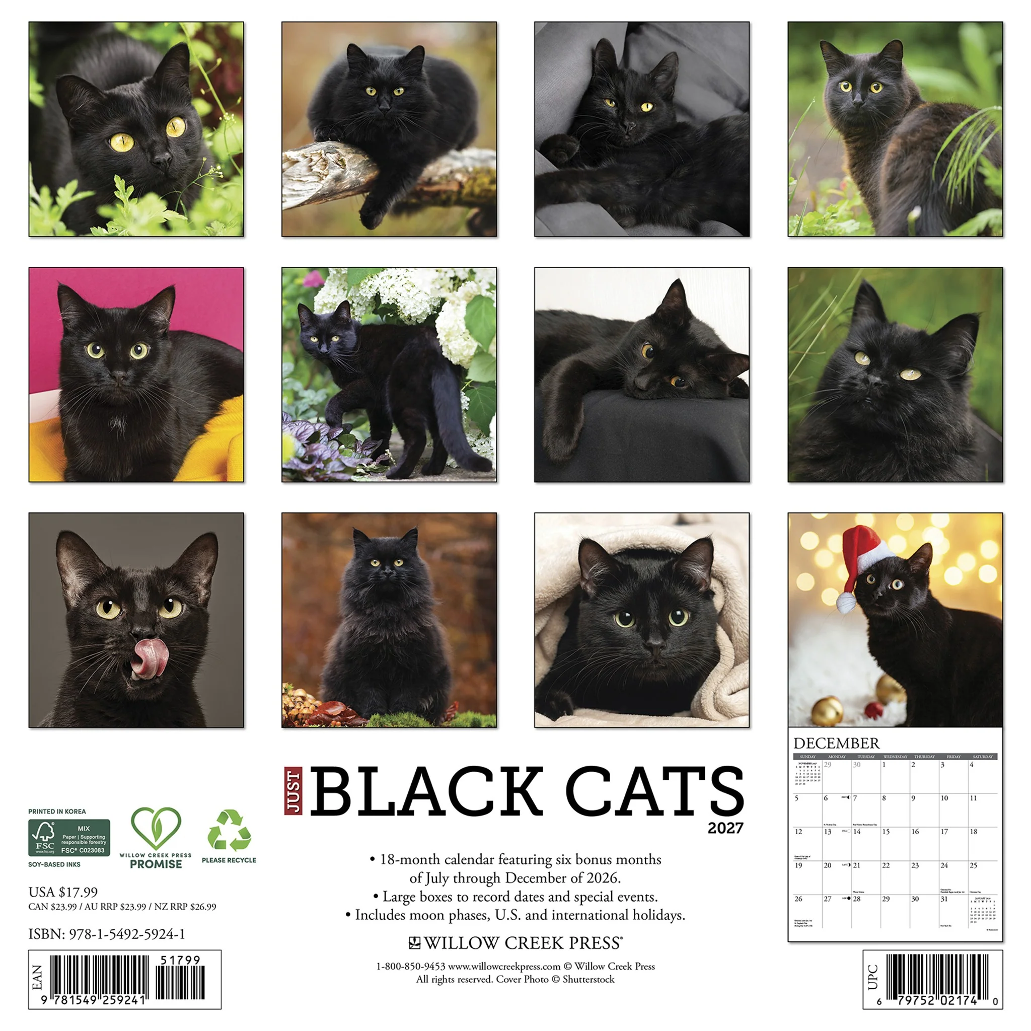 Black Cats 2027 Wall Calendar - Image 2