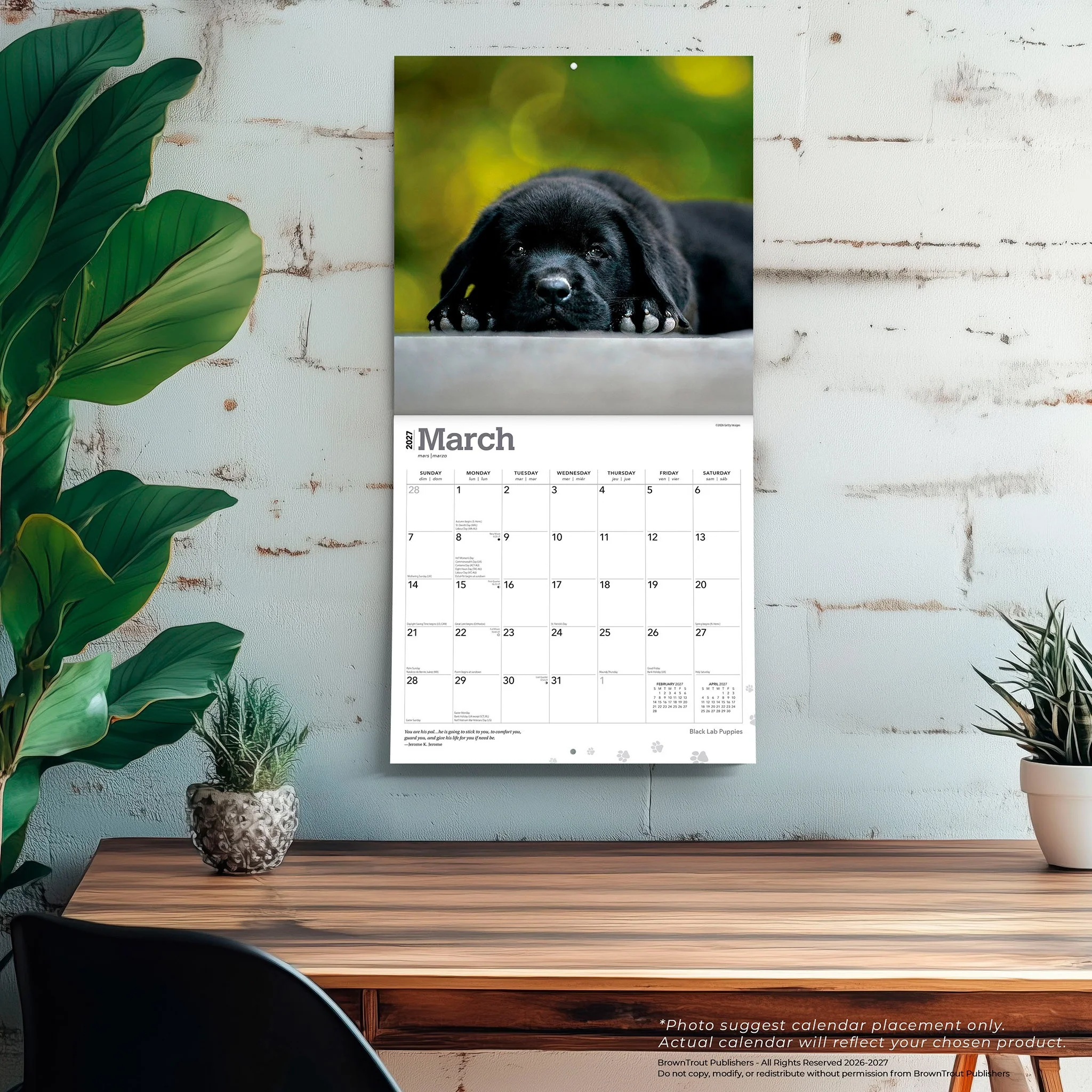 Black Lab Puppies 2027 Wall Calendar - Image 5