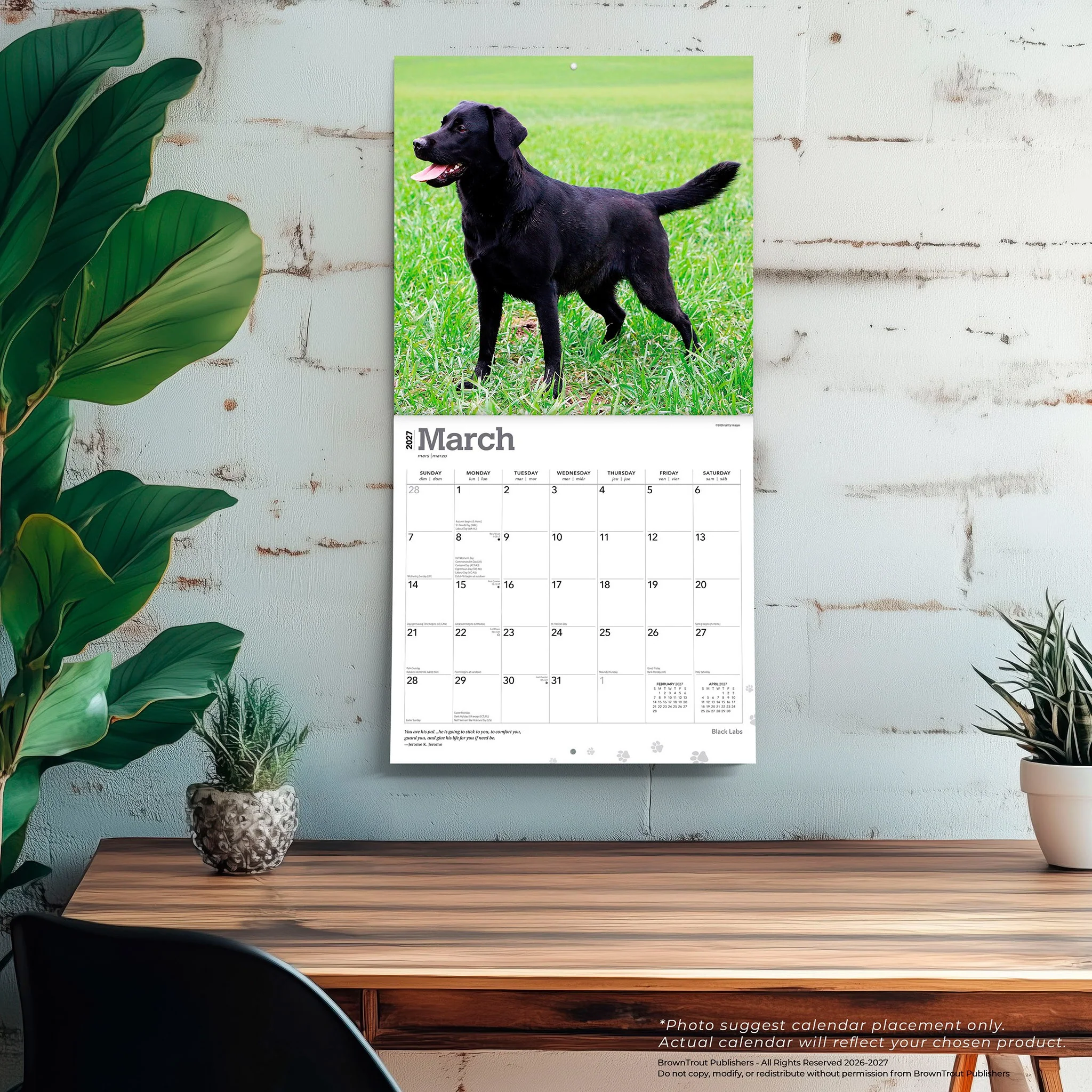 Black Labs 2027 Wall Calendar - Image 5