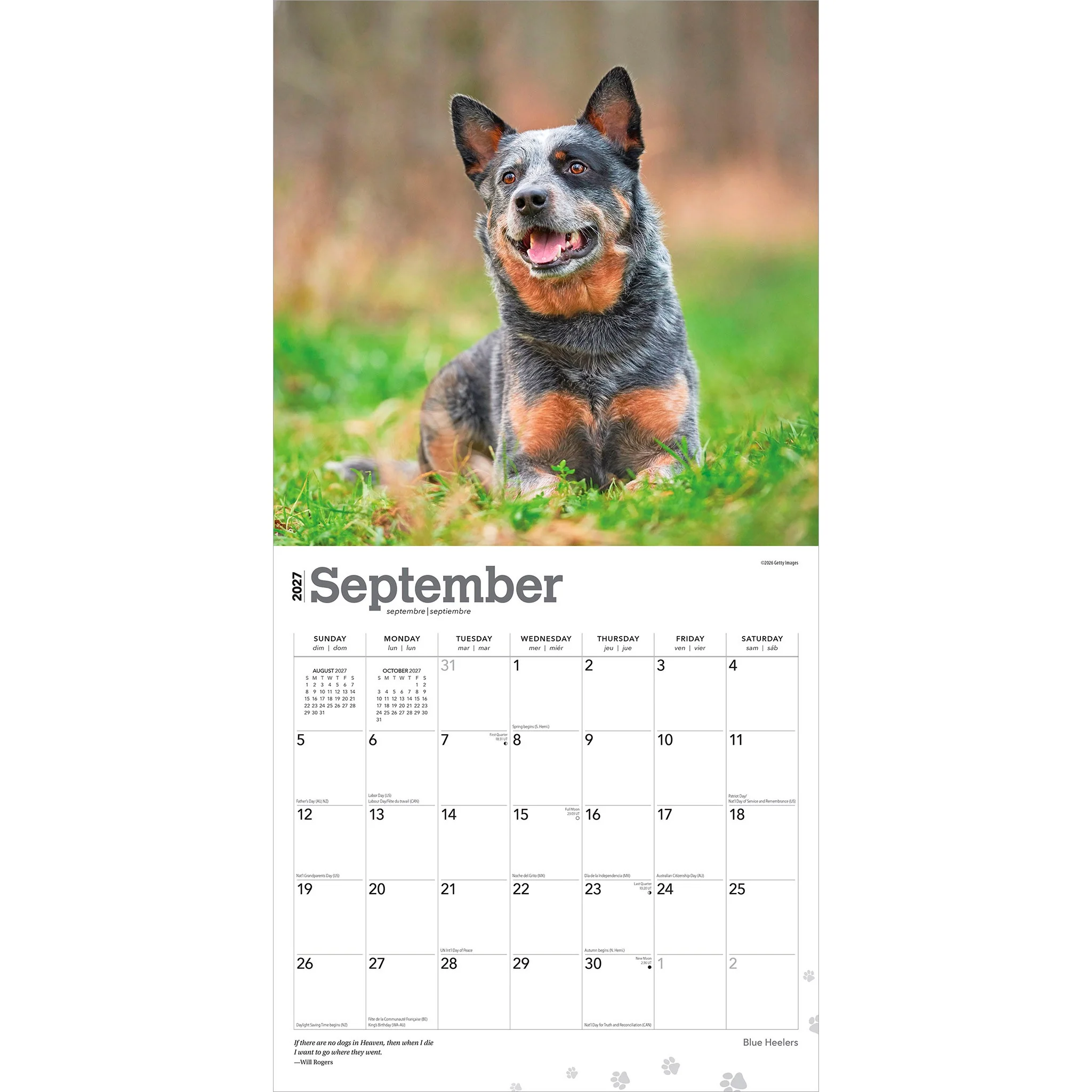 Blue Heelers 2027 Wall Calendar - Image 4