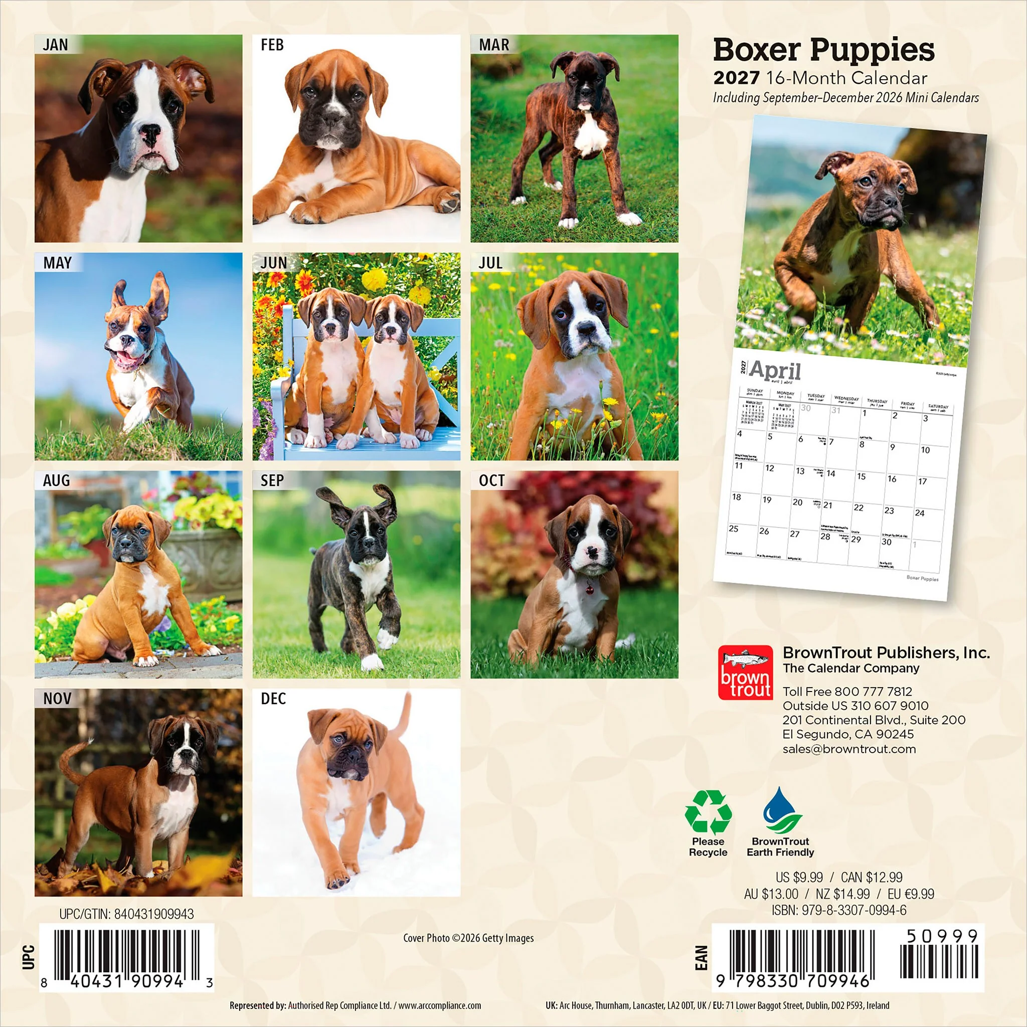 Boxer Puppies 2027 Mini Calendar - Image 2