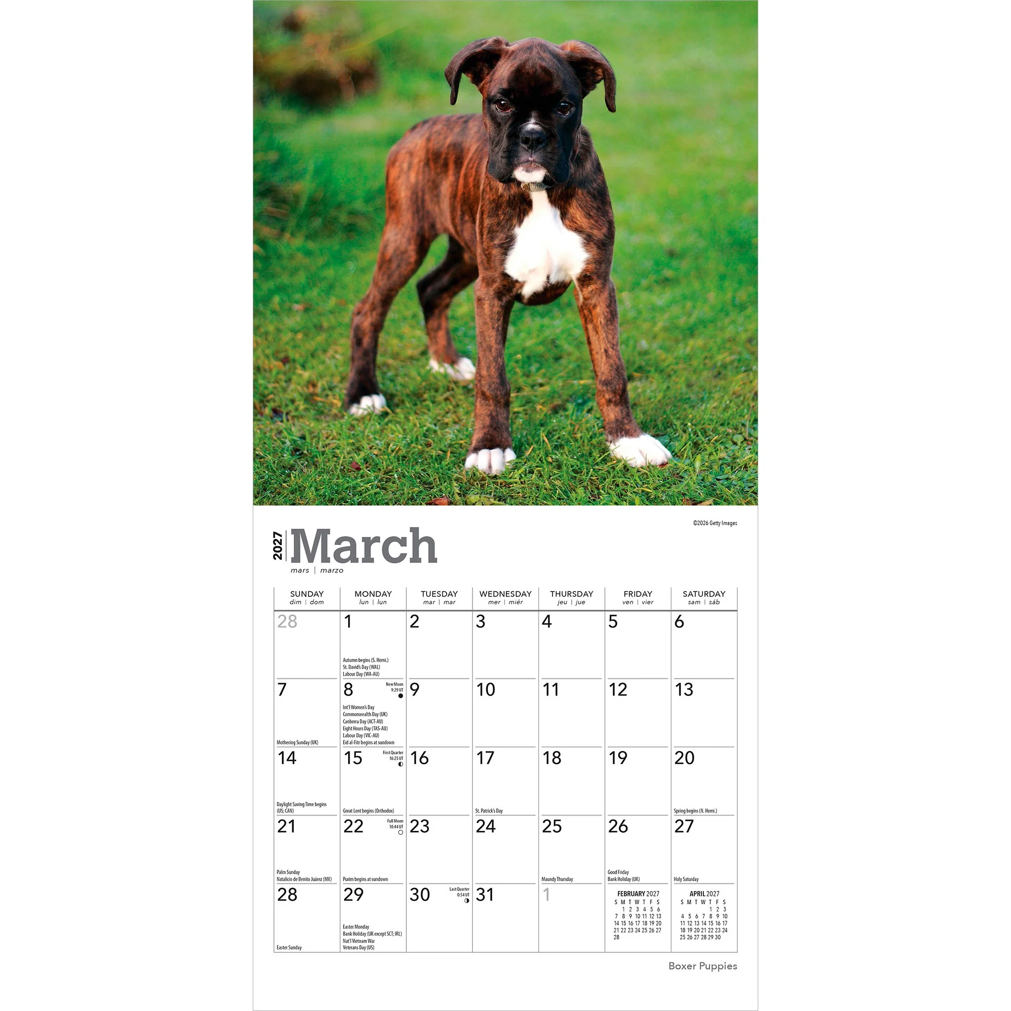 Boxer Puppies 2027 Mini Calendar - Image 3