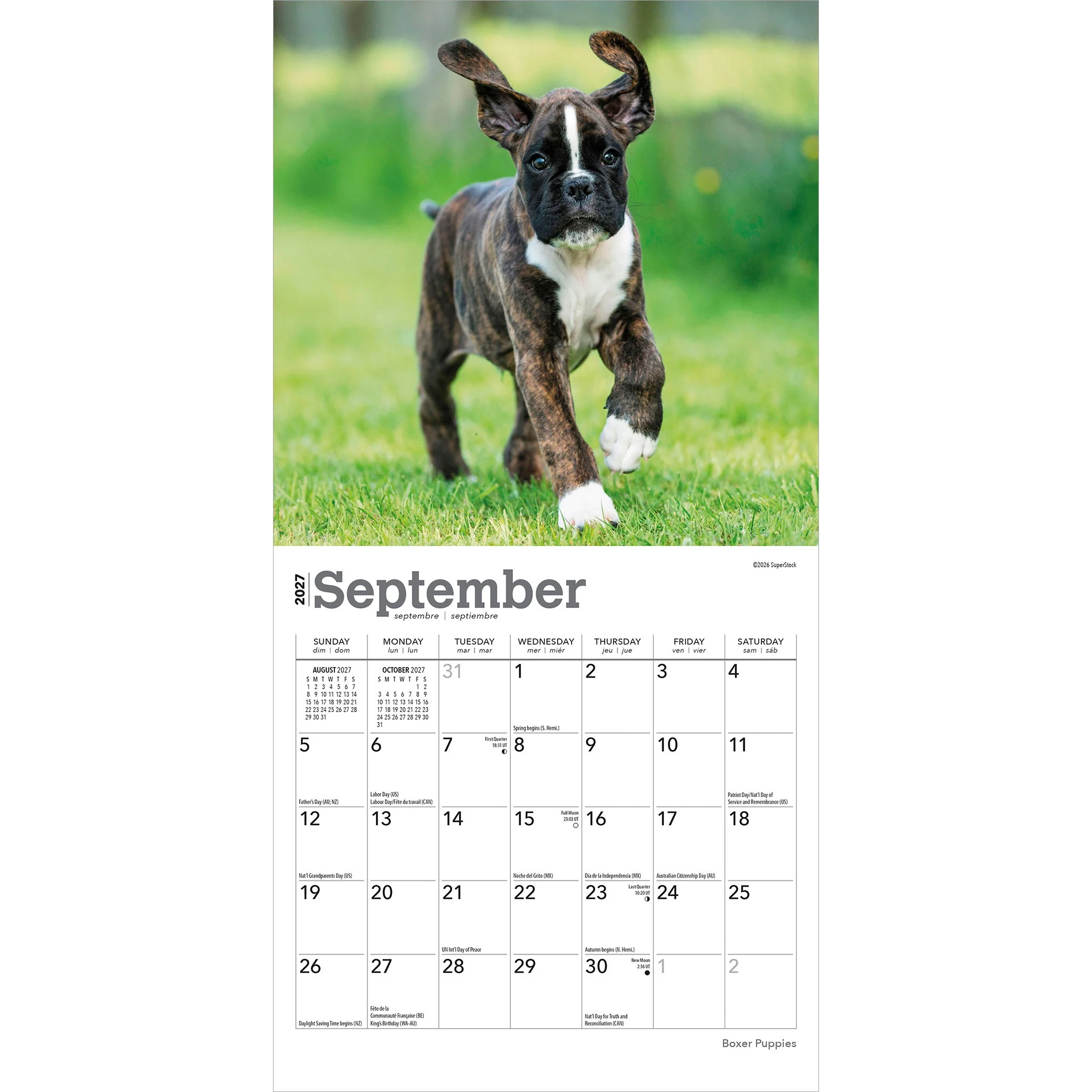 Boxer Puppies 2027 Mini Calendar - Image 4
