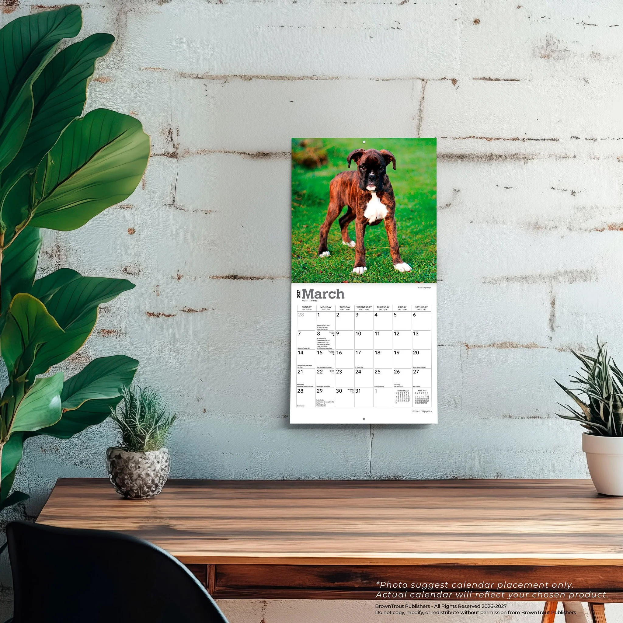 Boxer Puppies 2027 Mini Calendar - Image 5