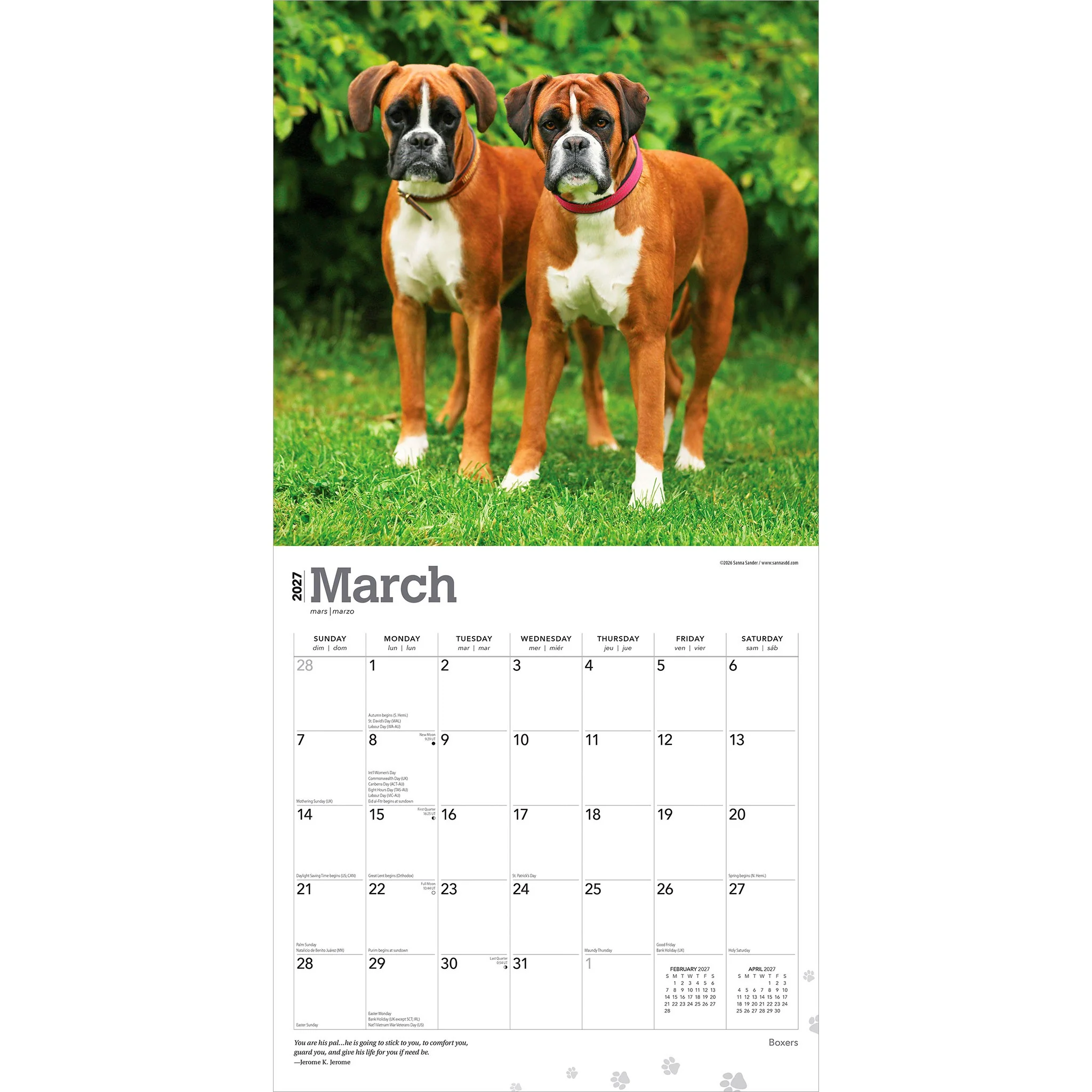 Boxers International 2027 Wall Calendar - Image 3