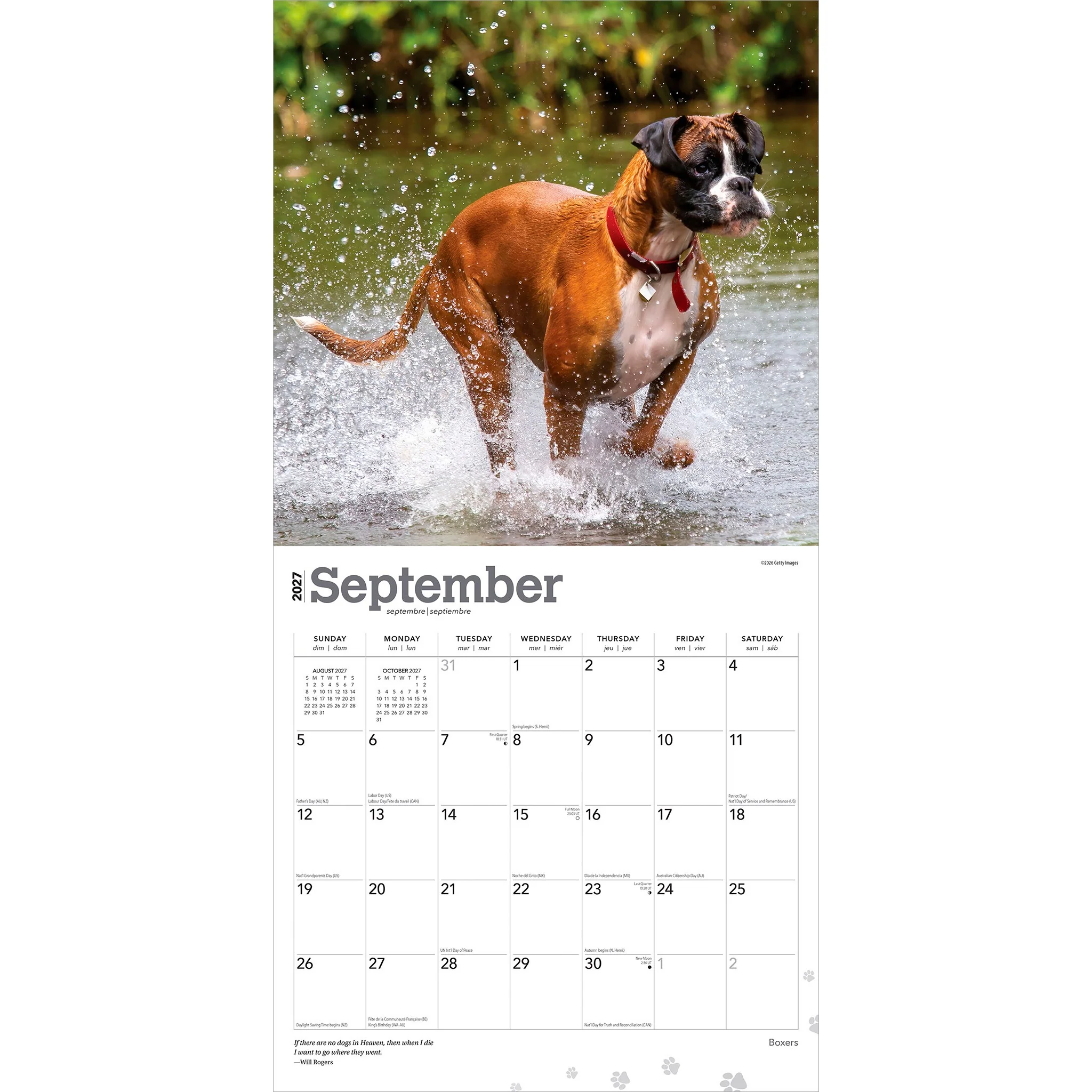 Boxers International 2027 Wall Calendar - Image 4