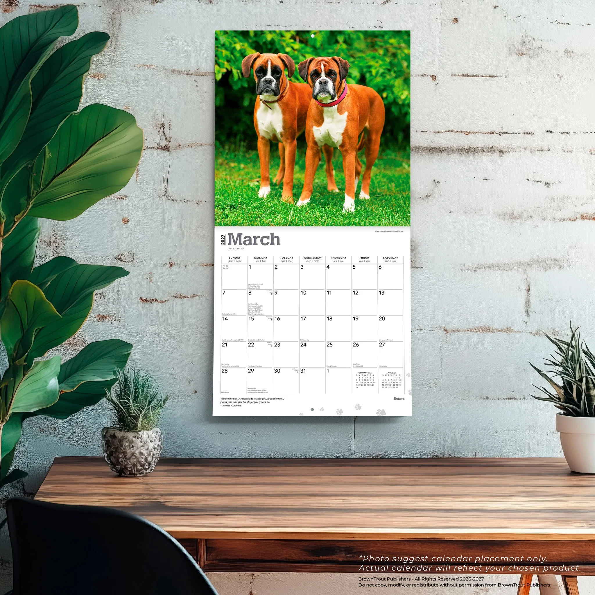 Boxers International 2027 Wall Calendar - Image 5