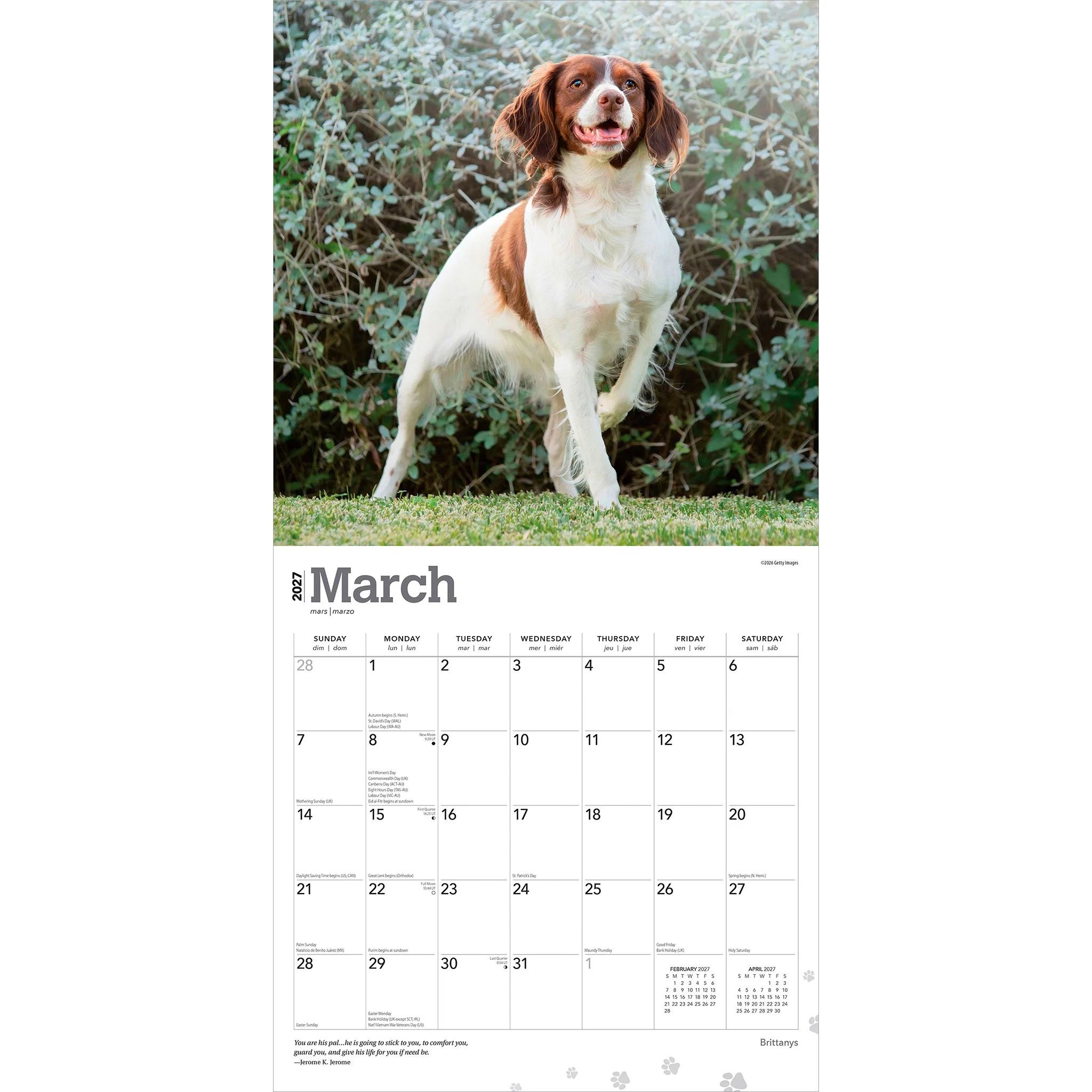 Brittanys 2027 Wall Calendar - Online Only - Image 3