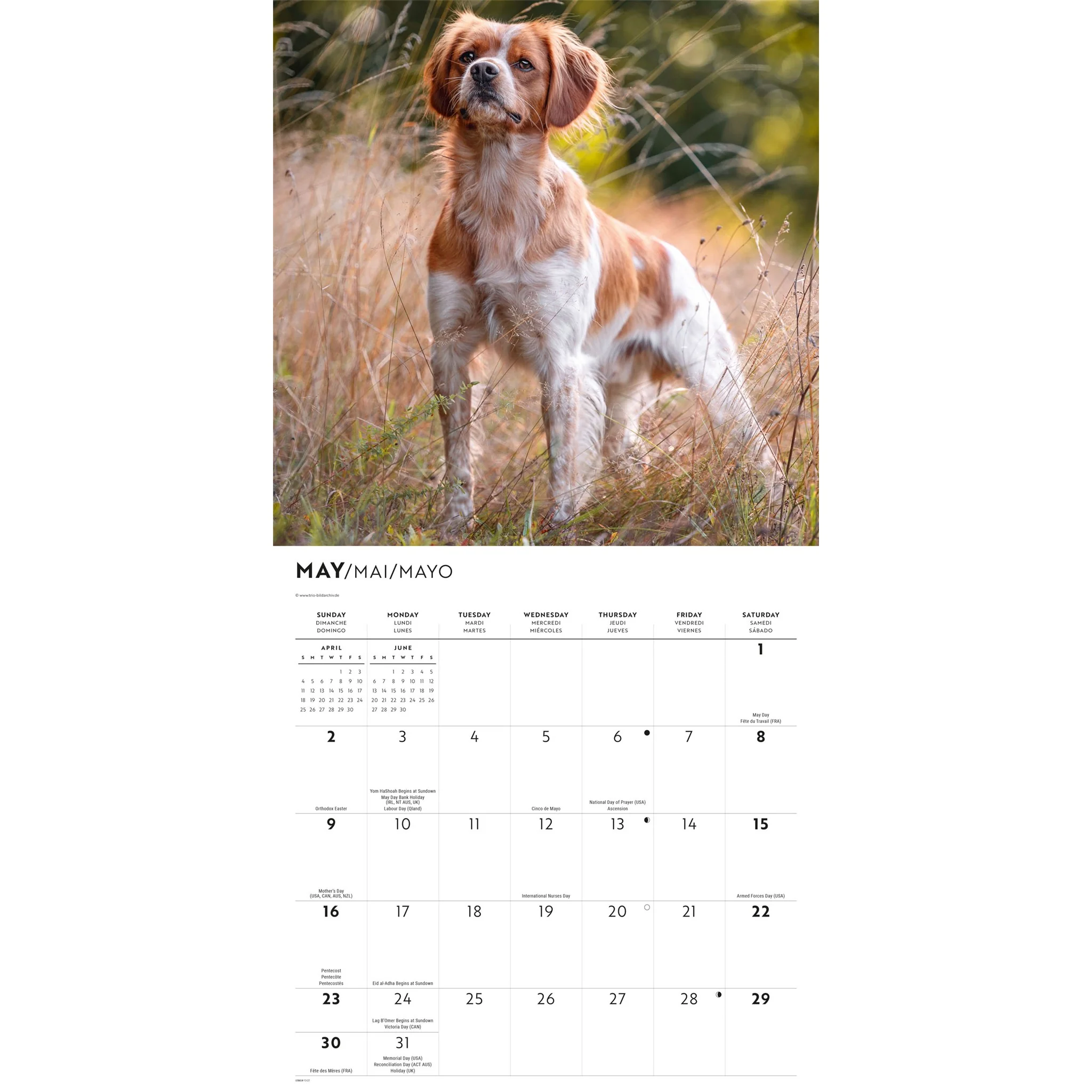 Brittanys 2027 Wall Calendar - Image 3