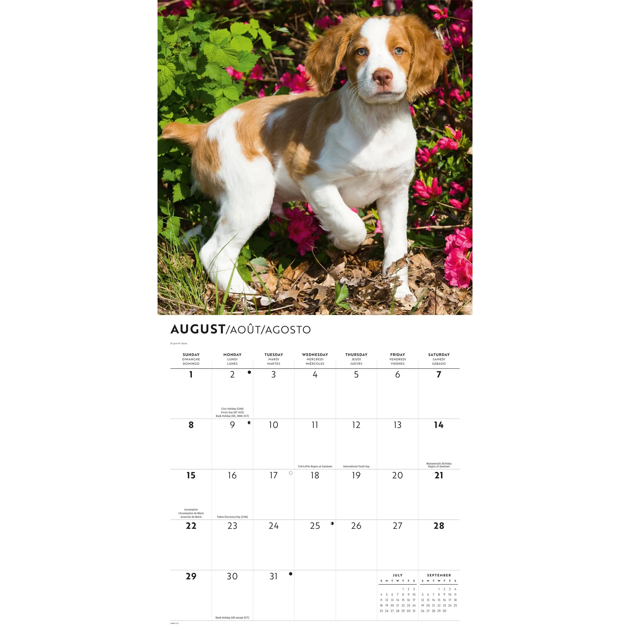 Brittanys 2027 Wall Calendar - Image 4