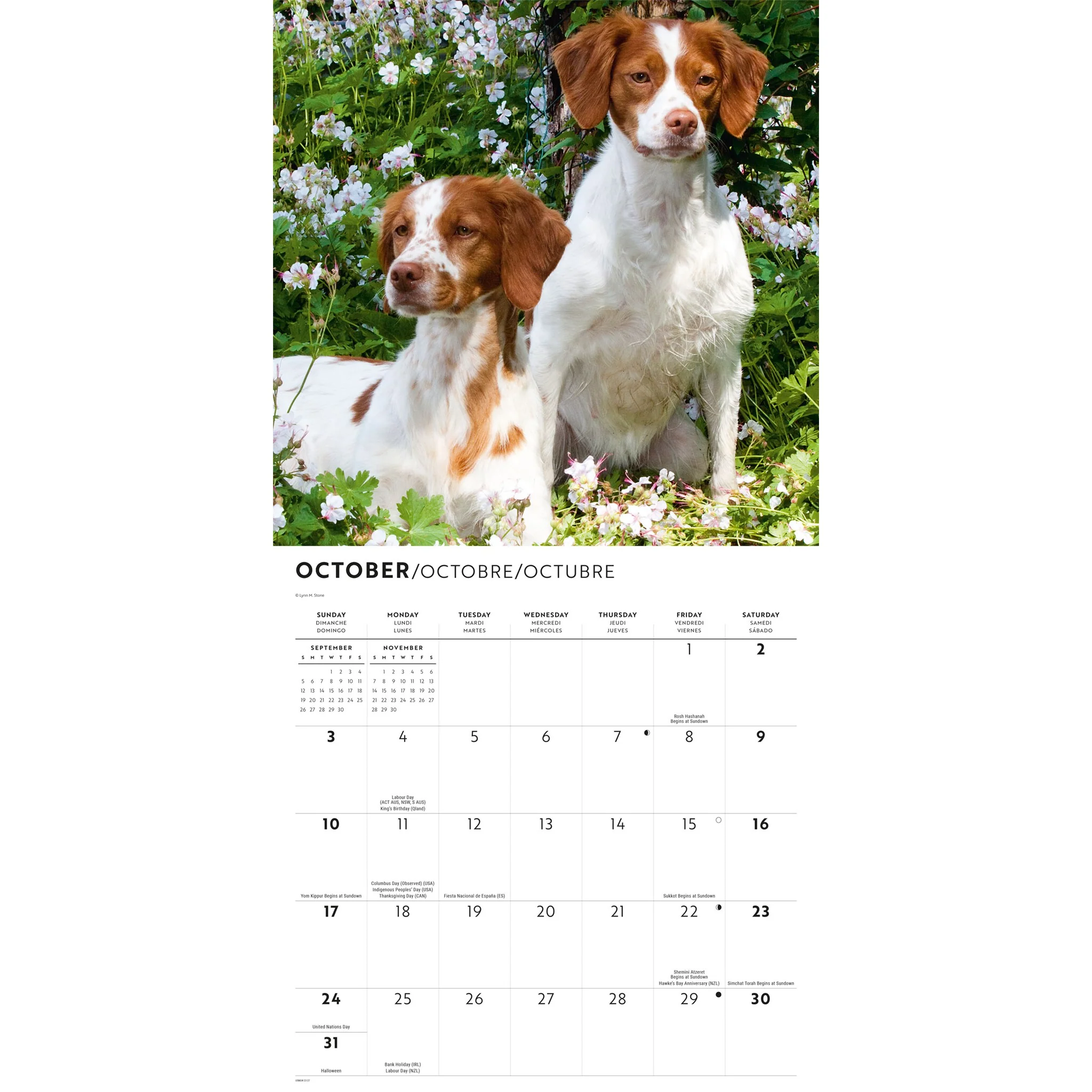 Brittanys 2027 Wall Calendar - Image 5
