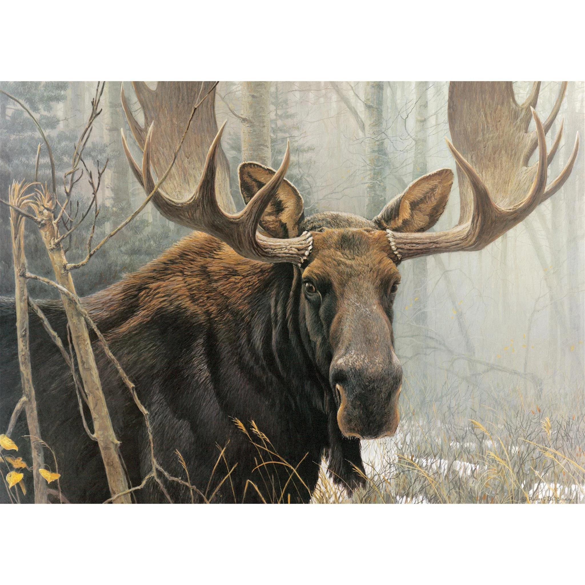 Bull Moose 500 Piece Puzzle Cobble Hill - Image 3