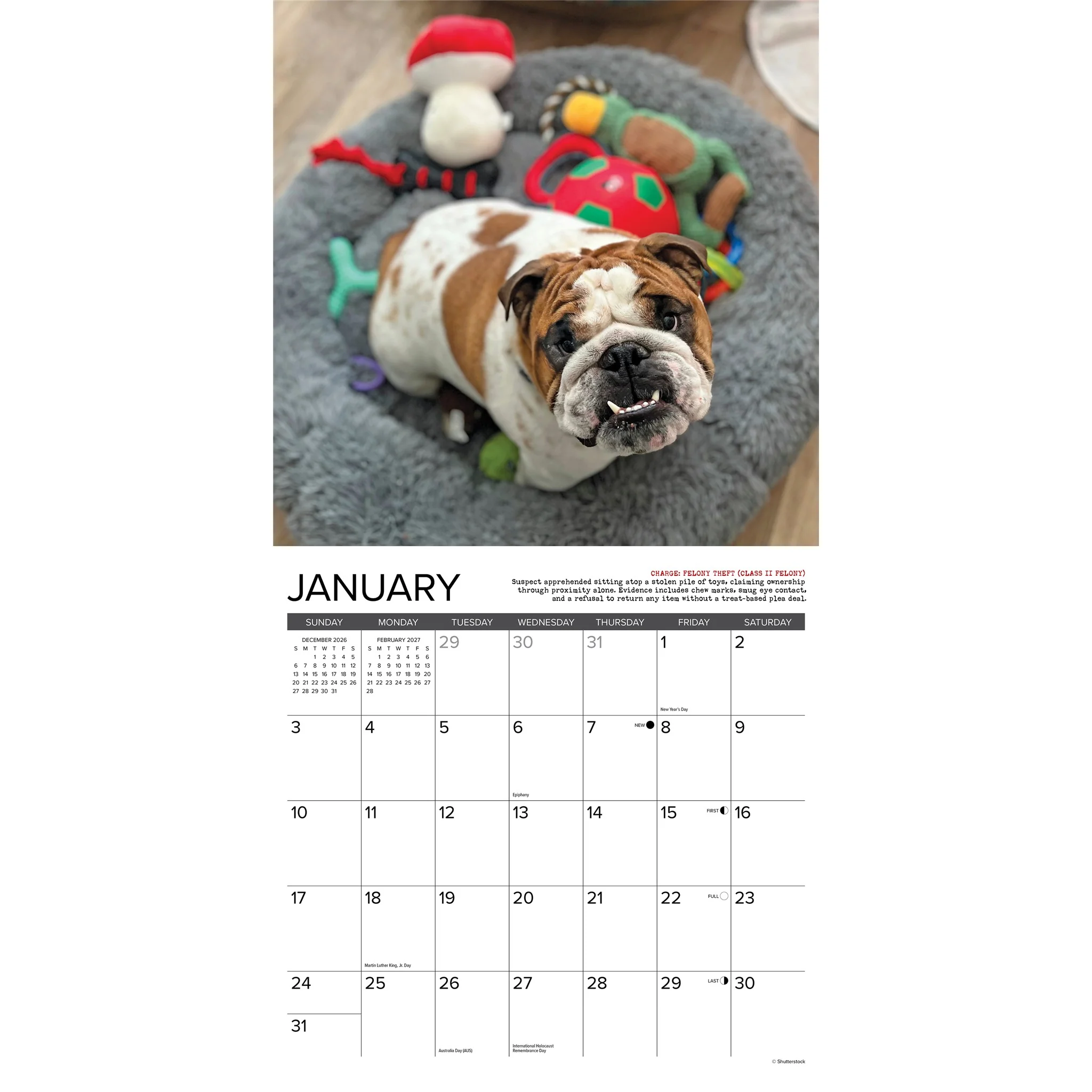 Bulldog Bad Boys 2027 Wall Calendar - Image 3
