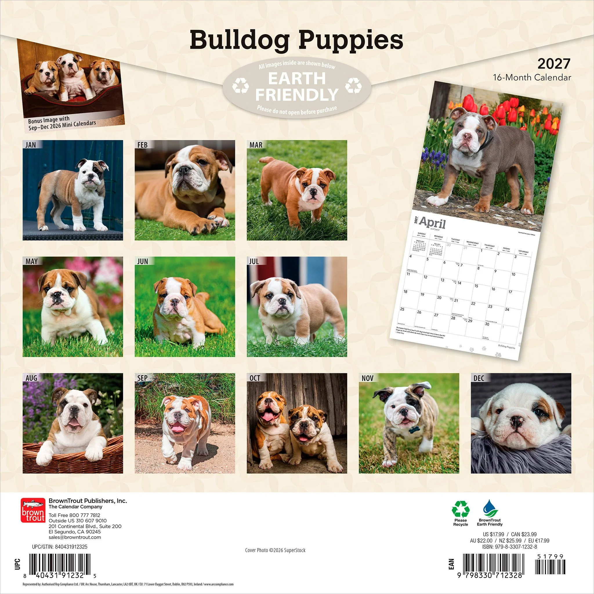 Bulldog Puppies 2027 Wall Calendar - Online Only - Image 2