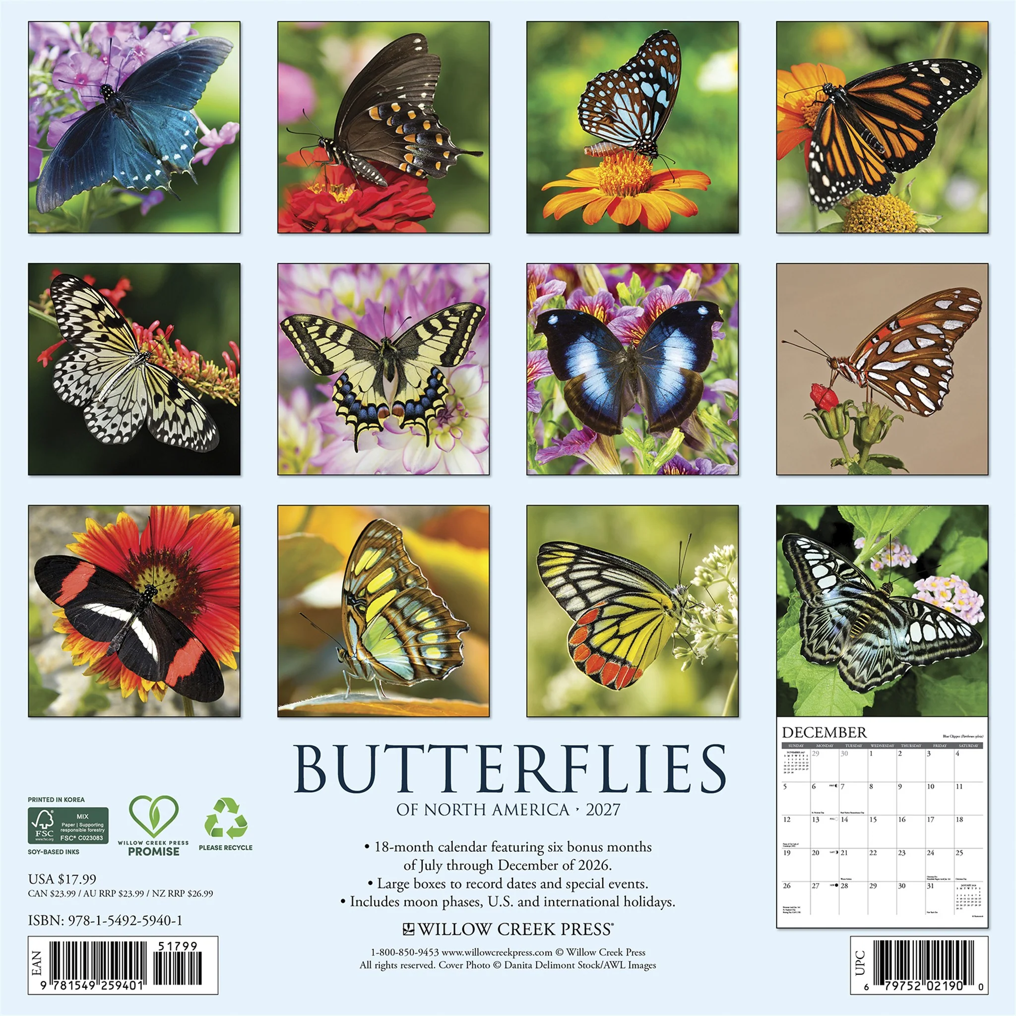 Butterflies of North America 2027 Wall Calendar - Image 2