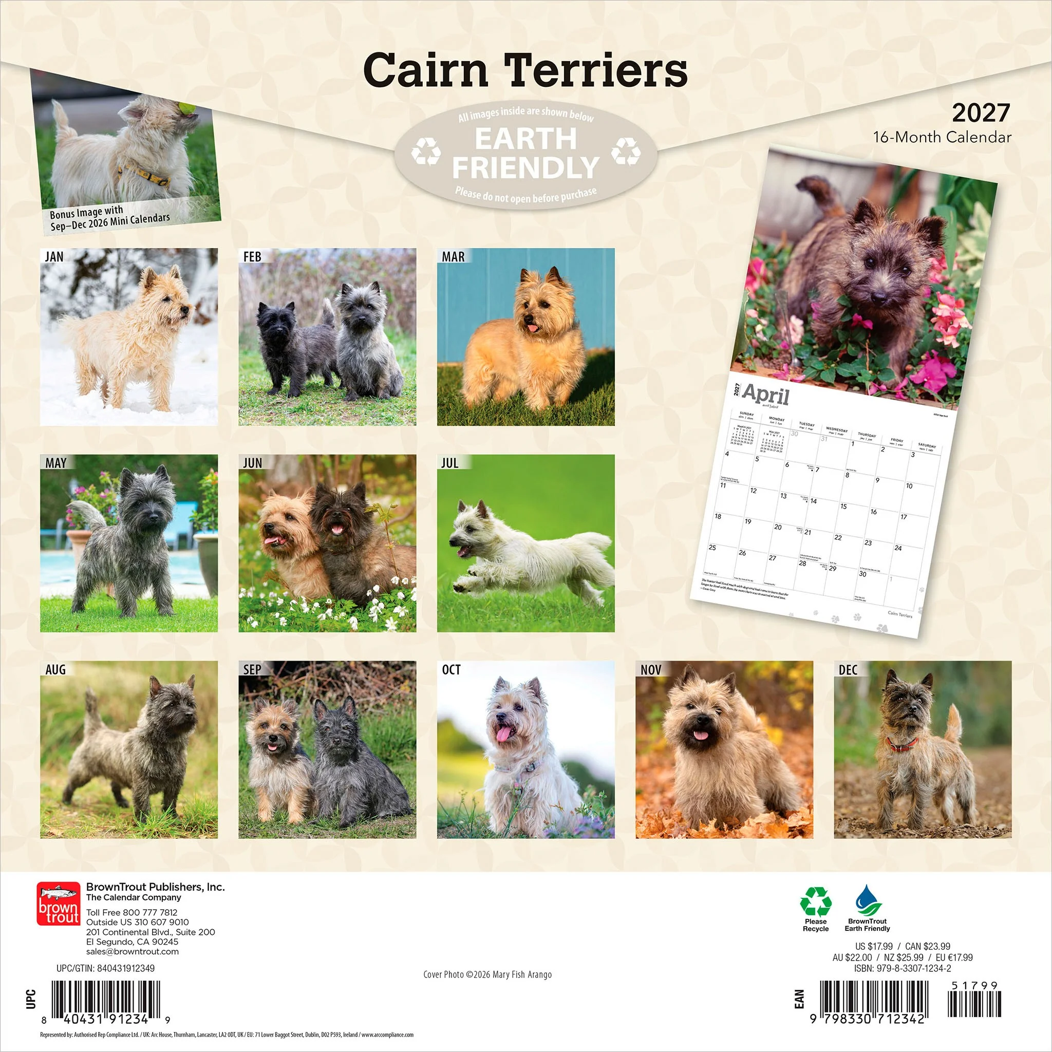 Cairn Terriers 2027 Wall Calendar - Image 2