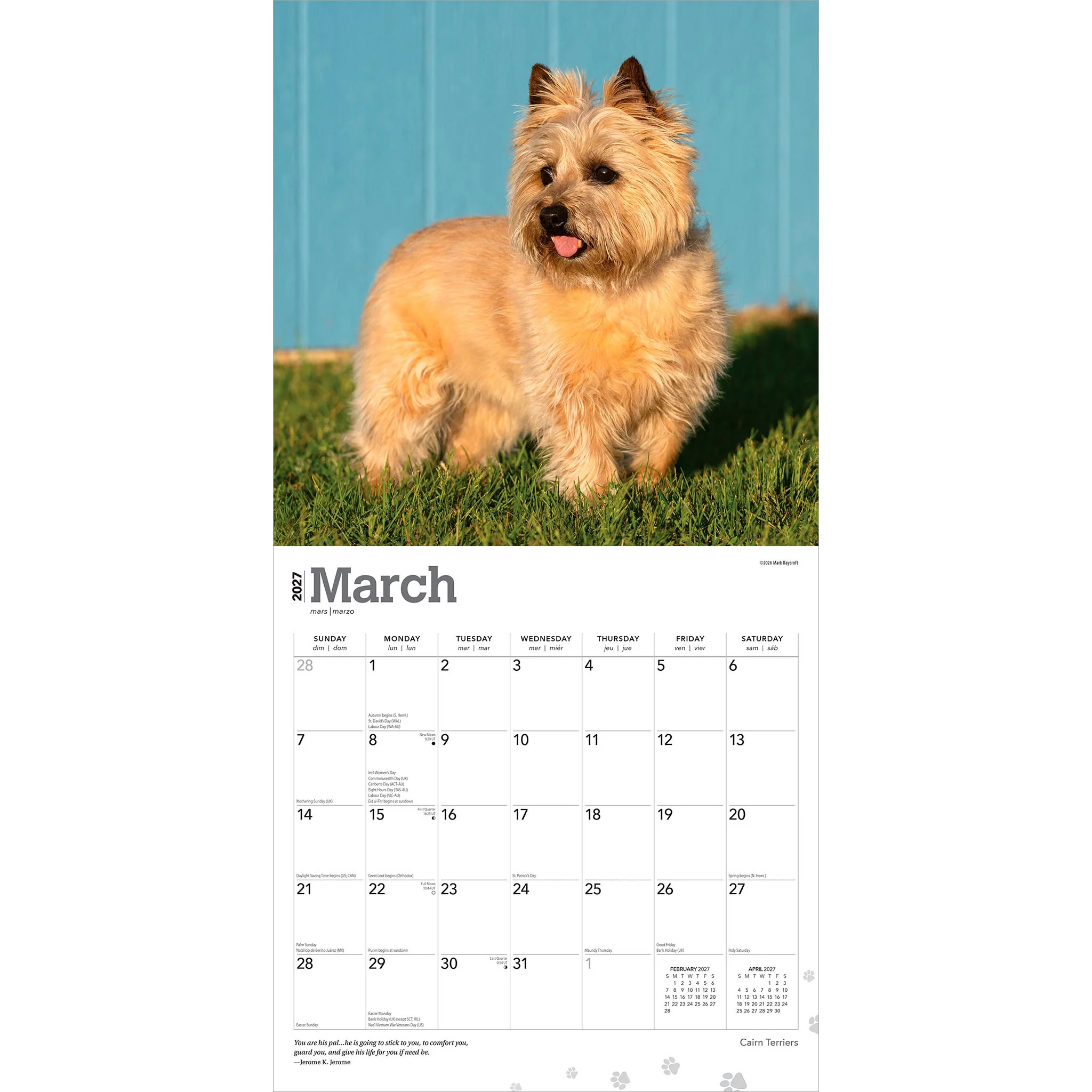 Cairn Terriers 2027 Wall Calendar - Image 3