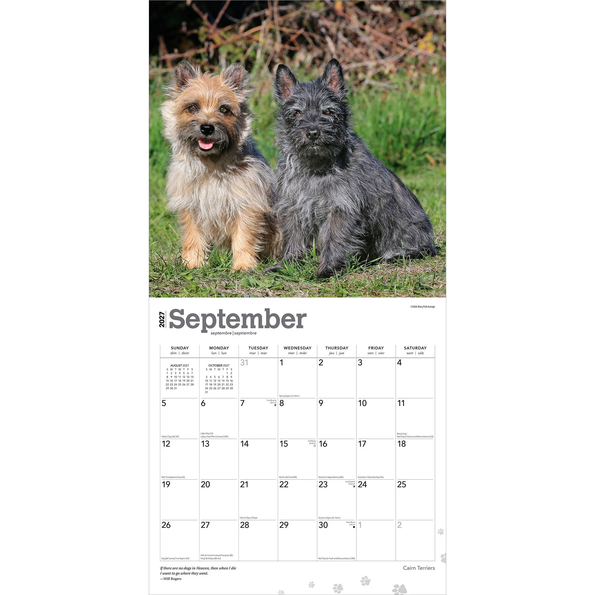 Cairn Terriers 2027 Wall Calendar - Image 4