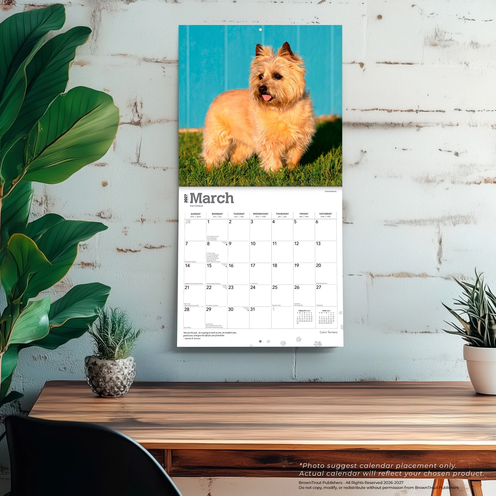 Cairn Terriers 2027 Wall Calendar - Image 5