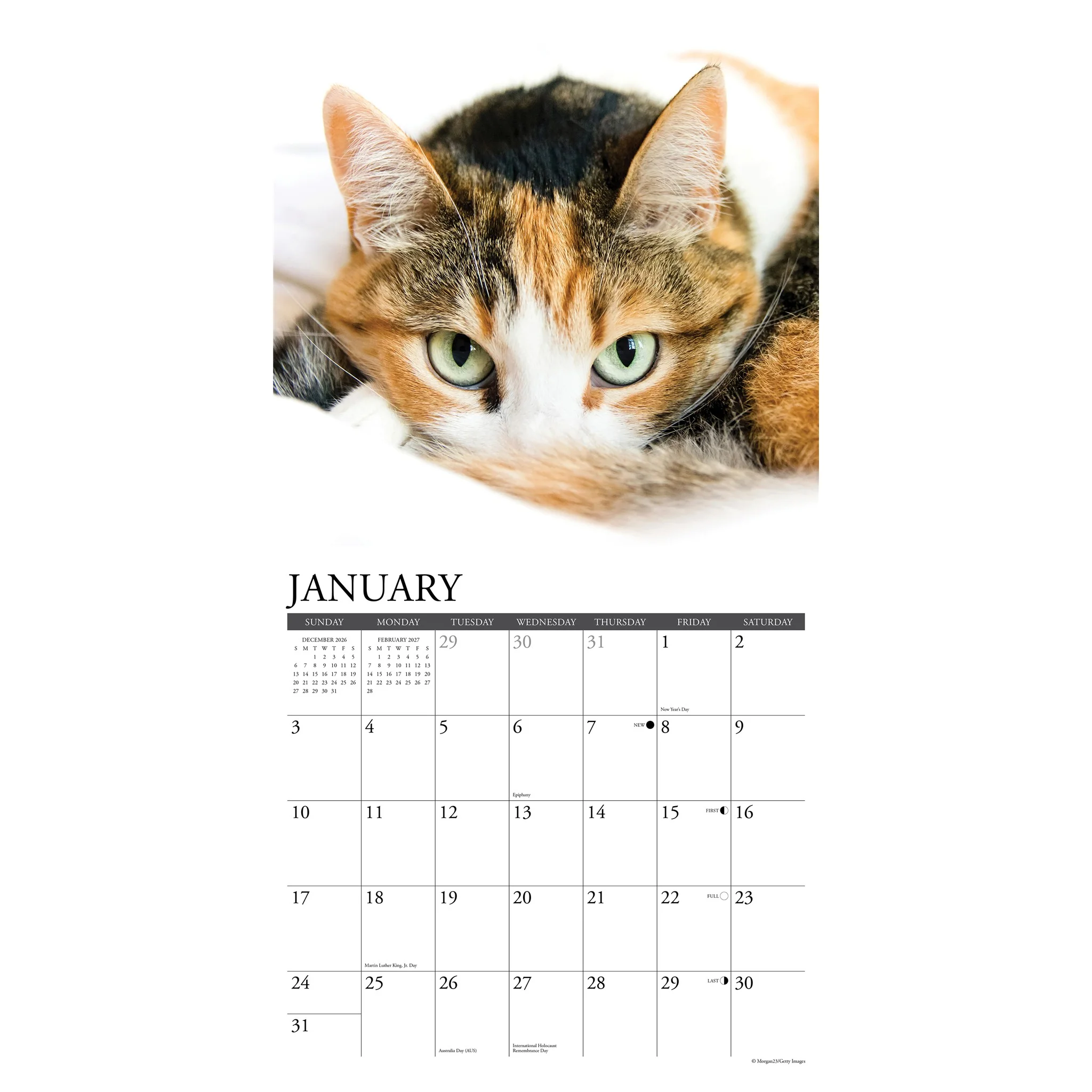 Calico Cats 2027 Wall Calendar - Image 3