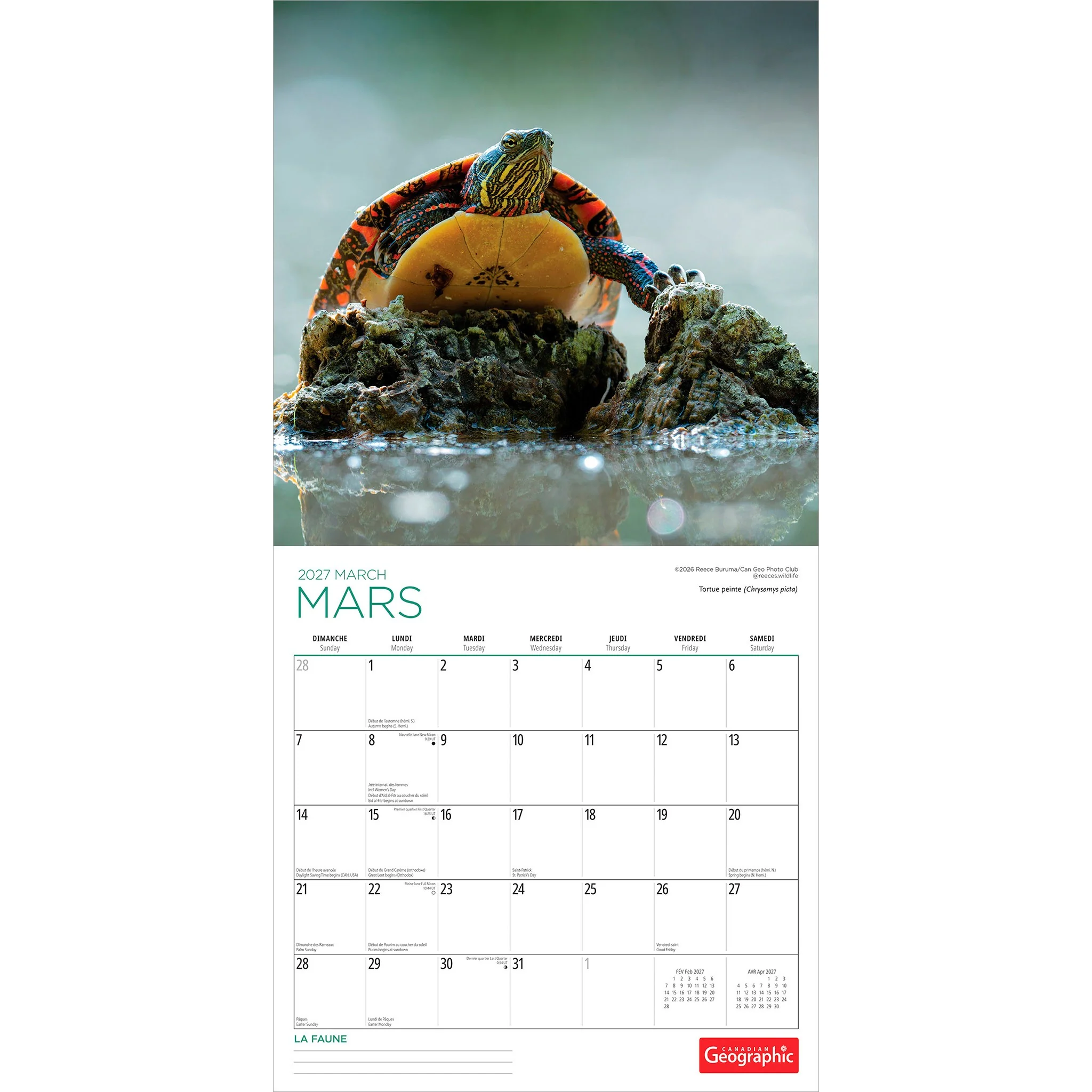 Canadian Geographic La faune 2027 Wall Calendar (French) - Image 3