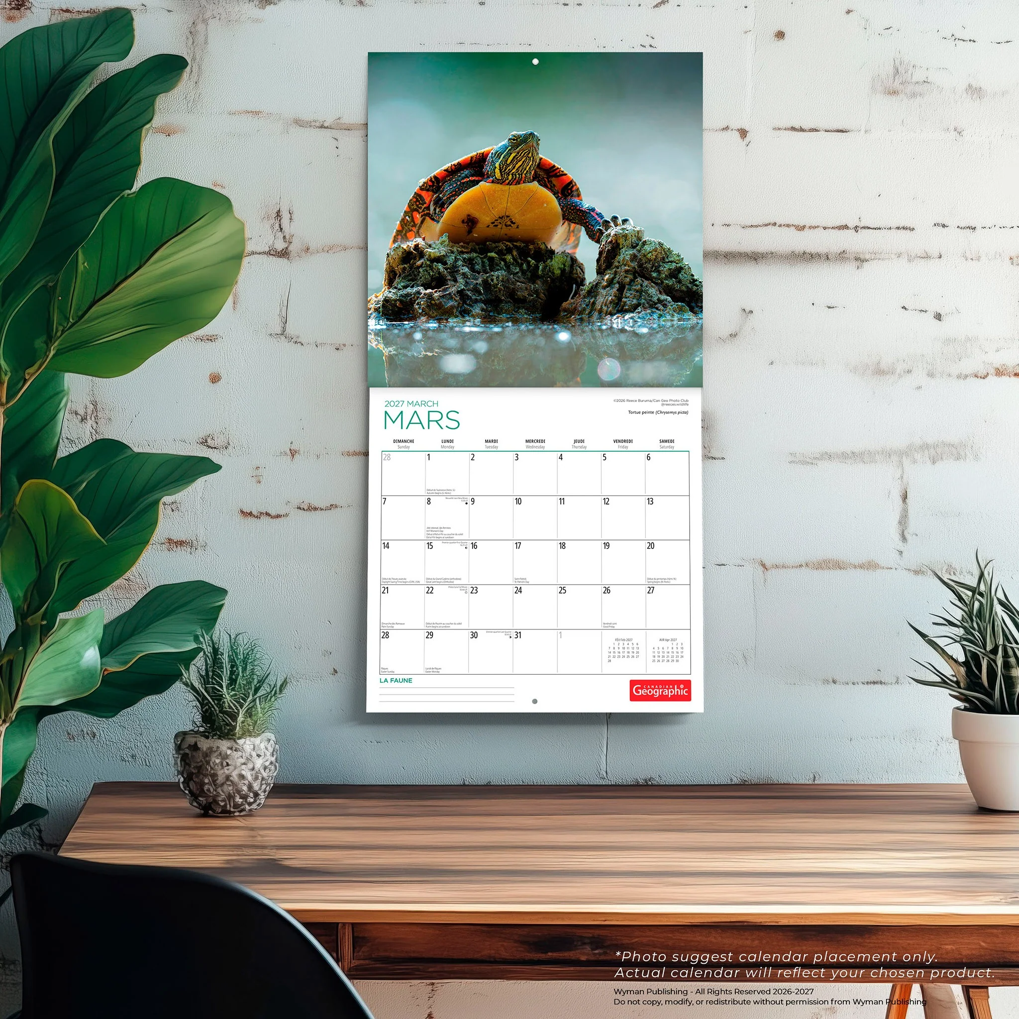 Canadian Geographic La faune 2027 Wall Calendar (French) - Image 5