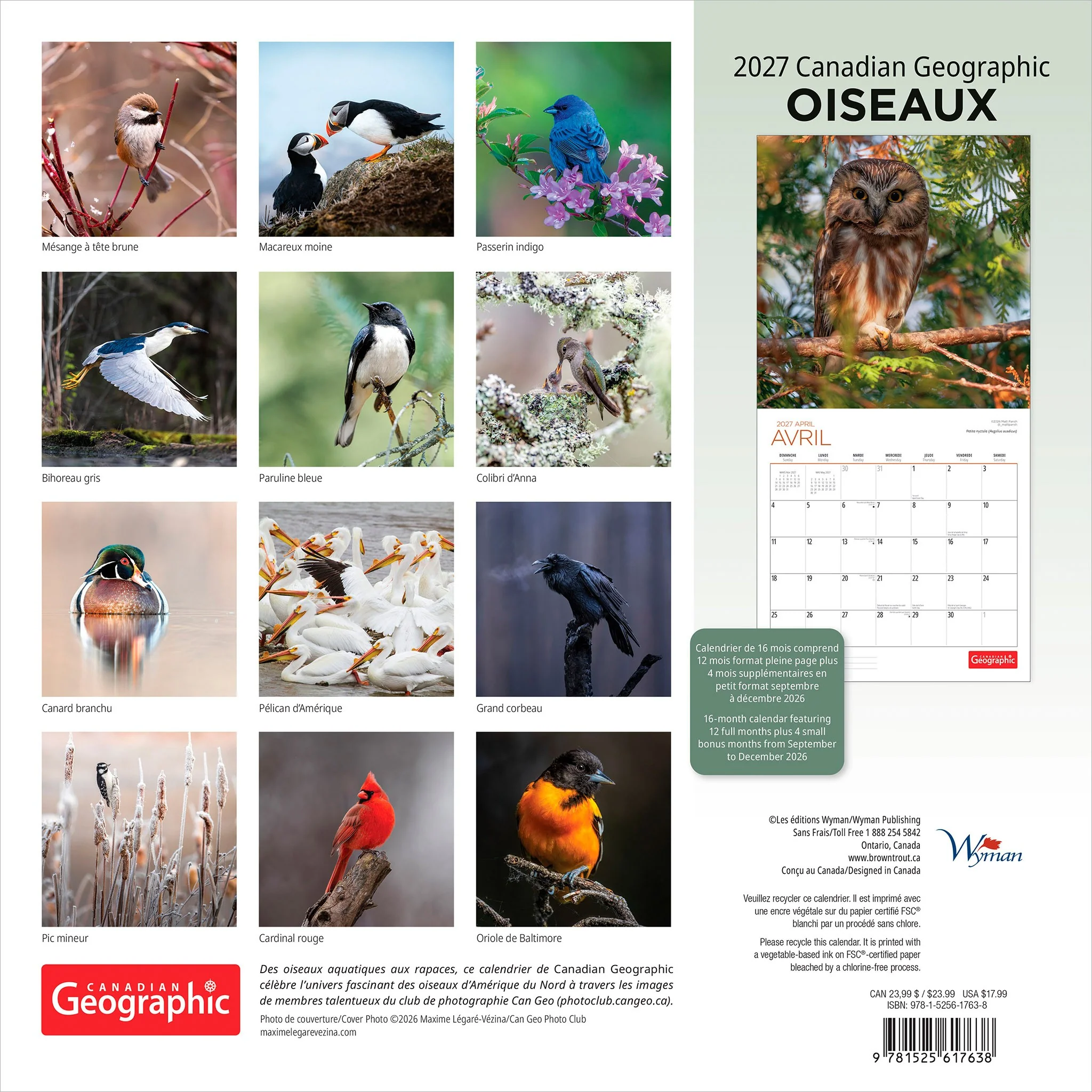 Canadian Geographic Oiseaux 2027 Wall Calendar (French) - Image 2