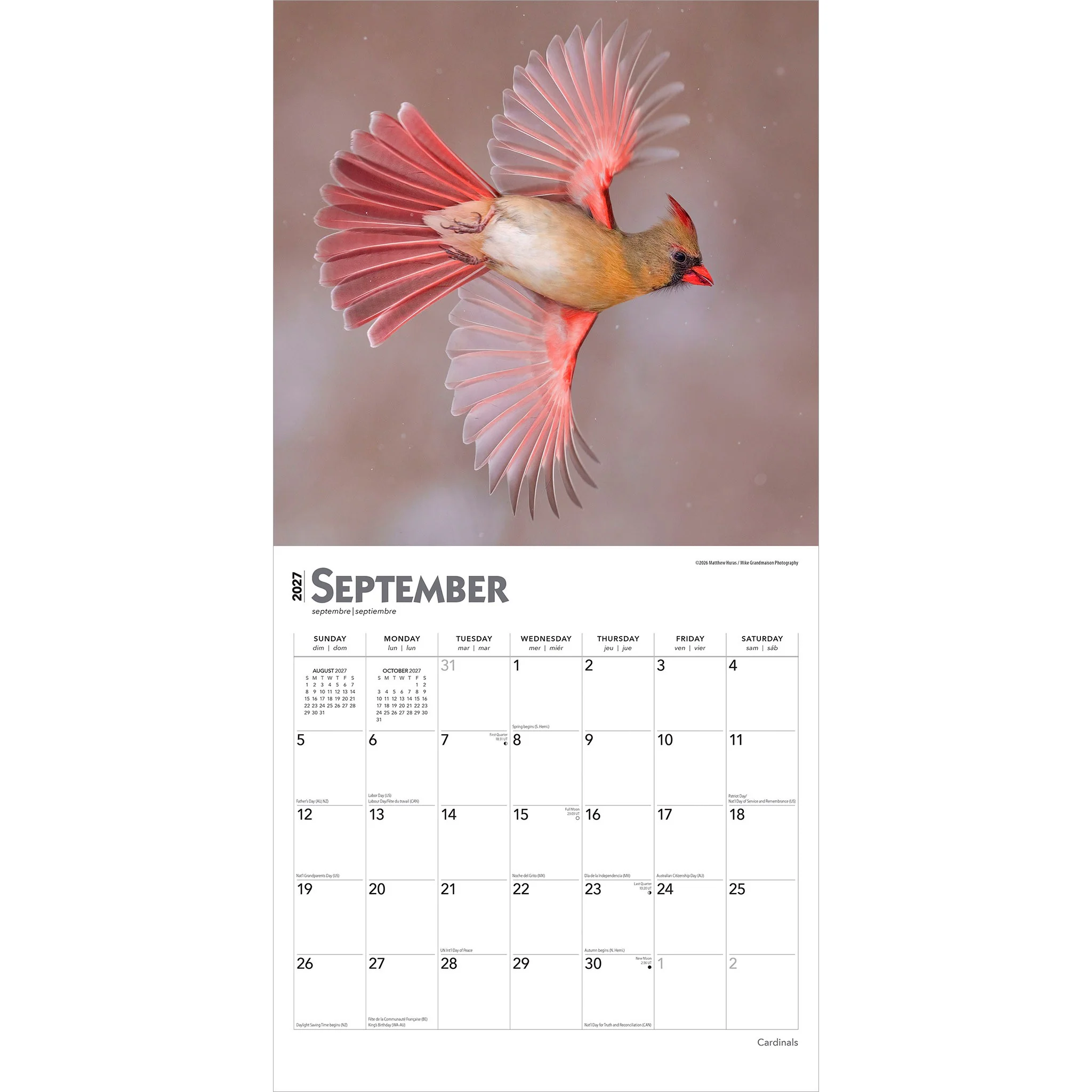 Cardinals 2027 Wall Calendar - Image 4