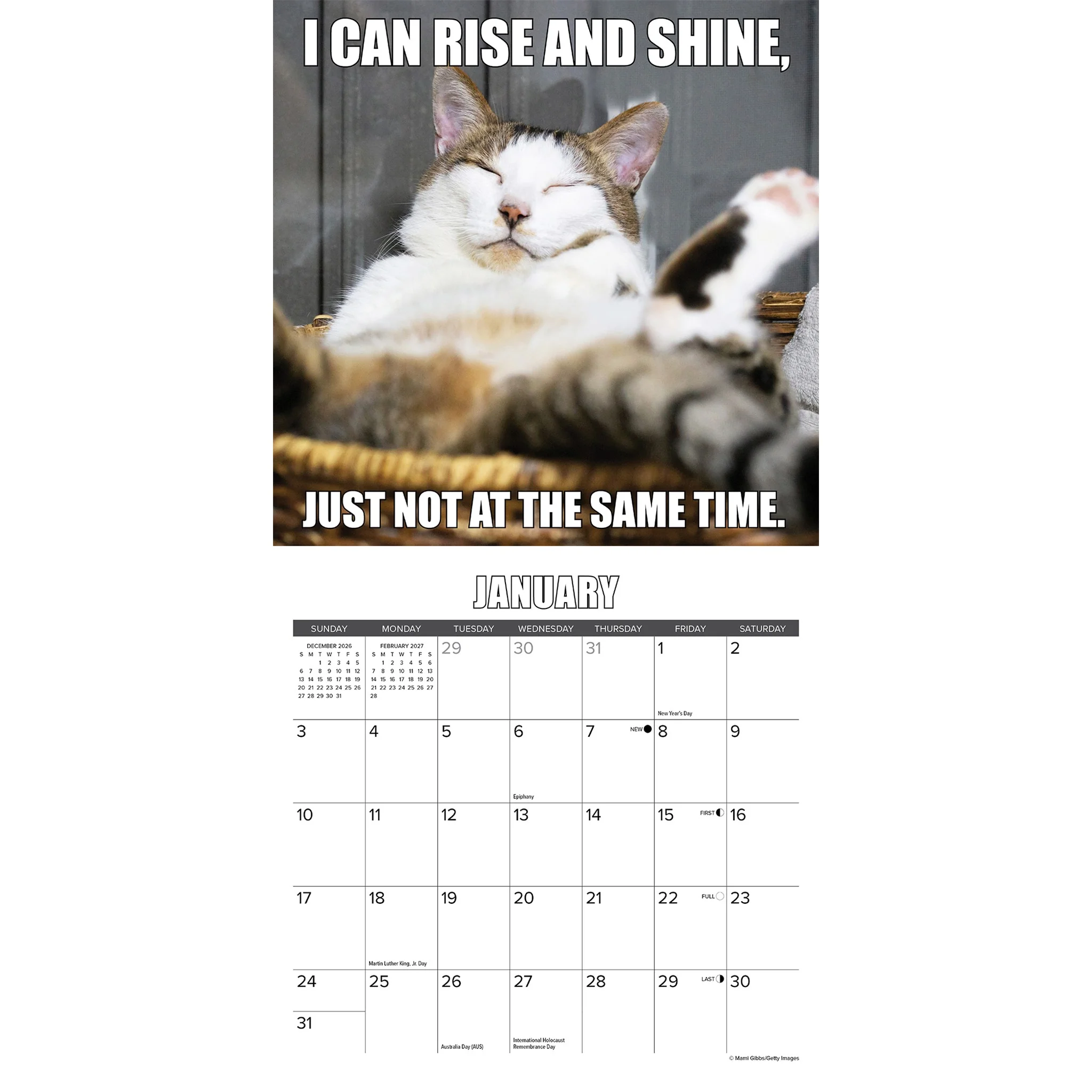 Cat-astrophe 2027 Mini Calendar - Image 3